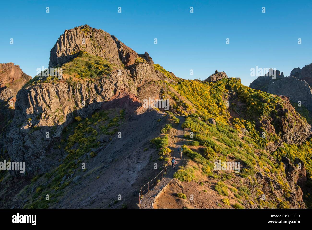 Portugal, Madeira Island, trekking on the peaks of Arieiro peak to