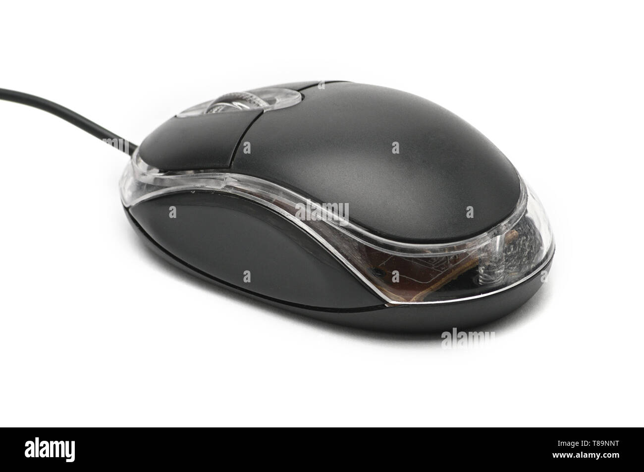 Computer mouse on a white isolated background Stock Photo - Alamy