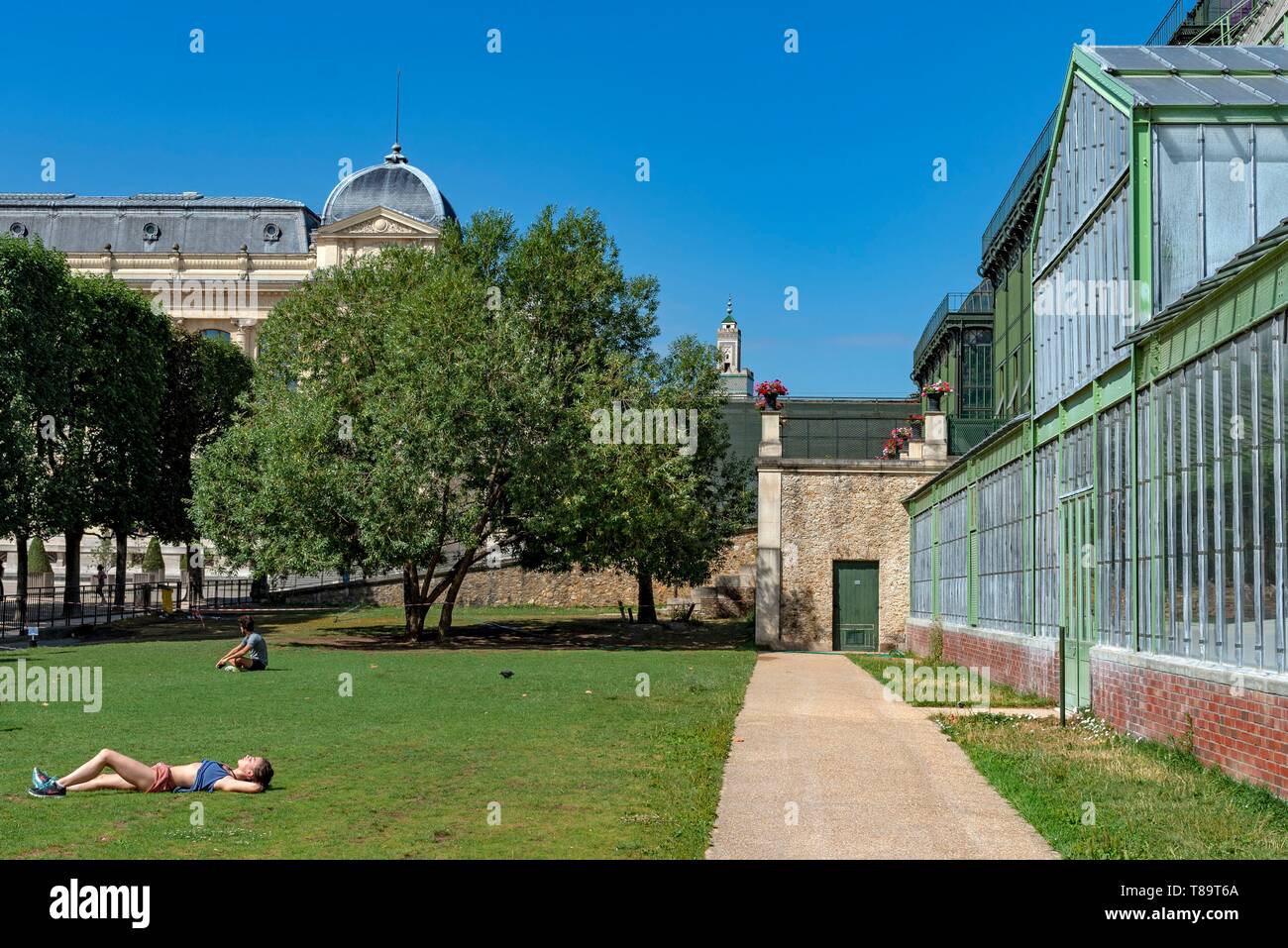 Serre  plantes hi-res stock photography and images - Alamy