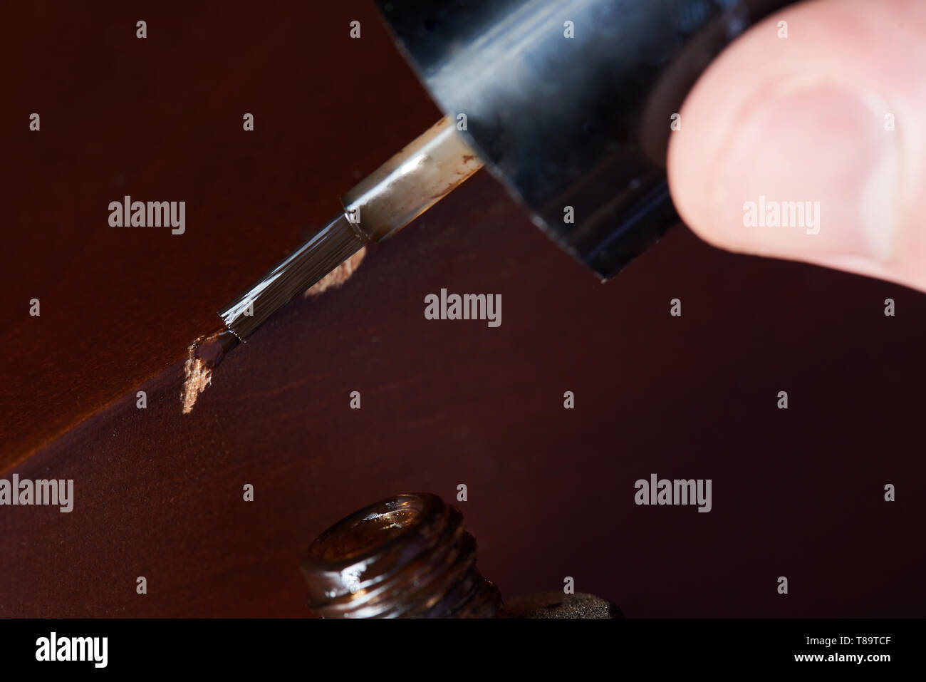 Painting dark wood furniture. Close-up of paint brush renovating wooden scratch Stock Photo