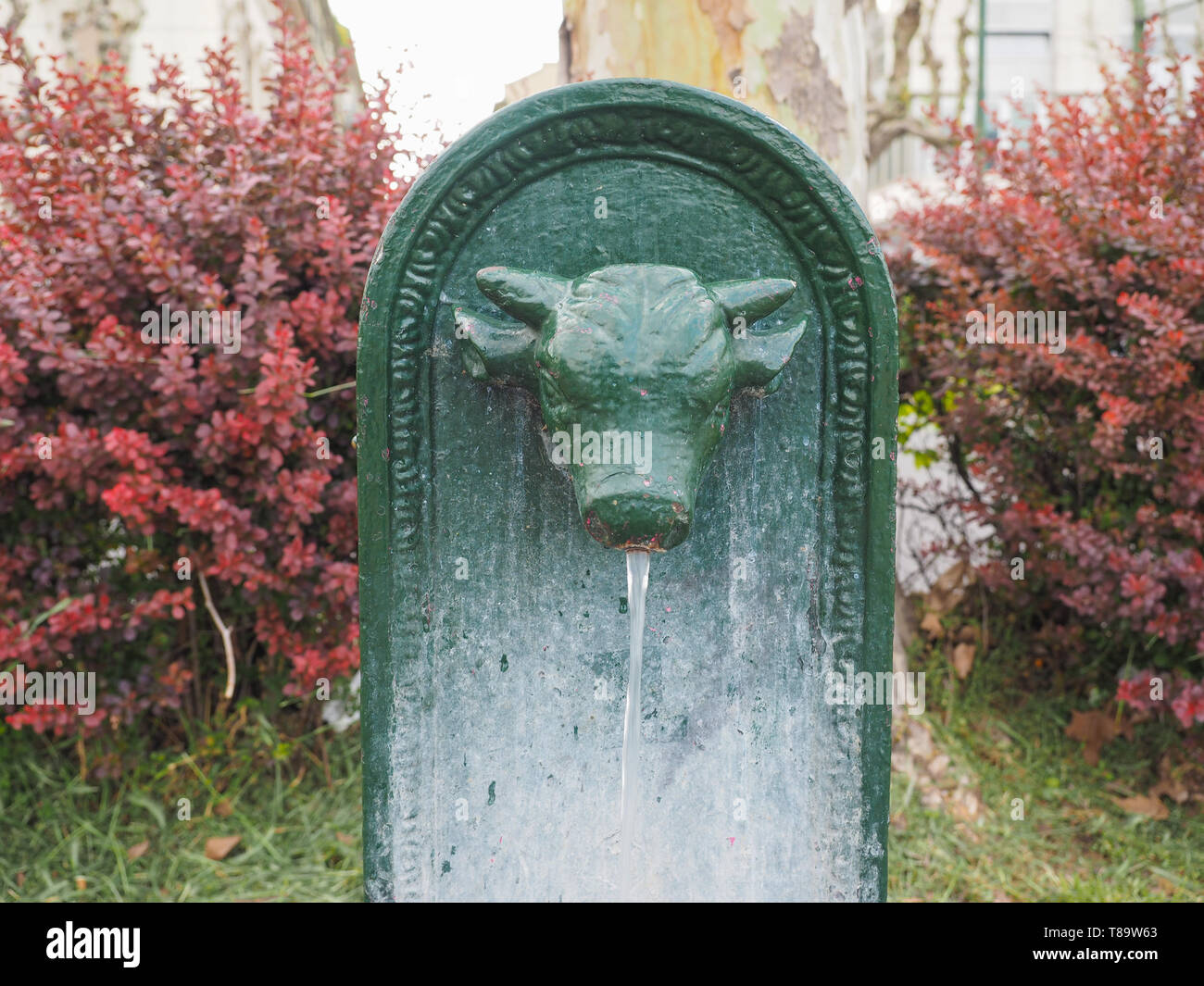 Toret (meaning little bull) drinking fountain in Turin, Italy Stock Photo