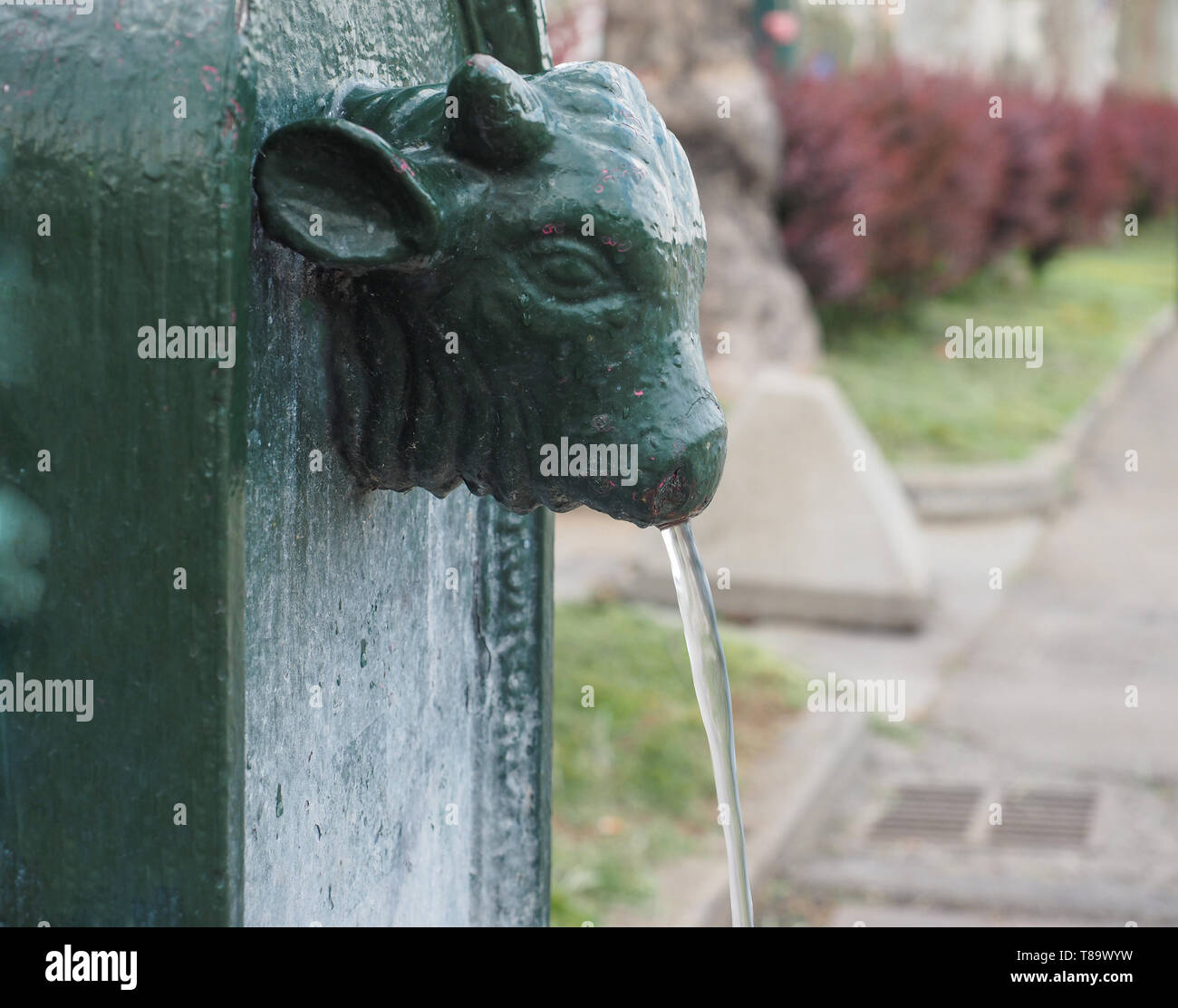 Toret (meaning little bull) drinking fountain in Turin, Italy Stock Photo