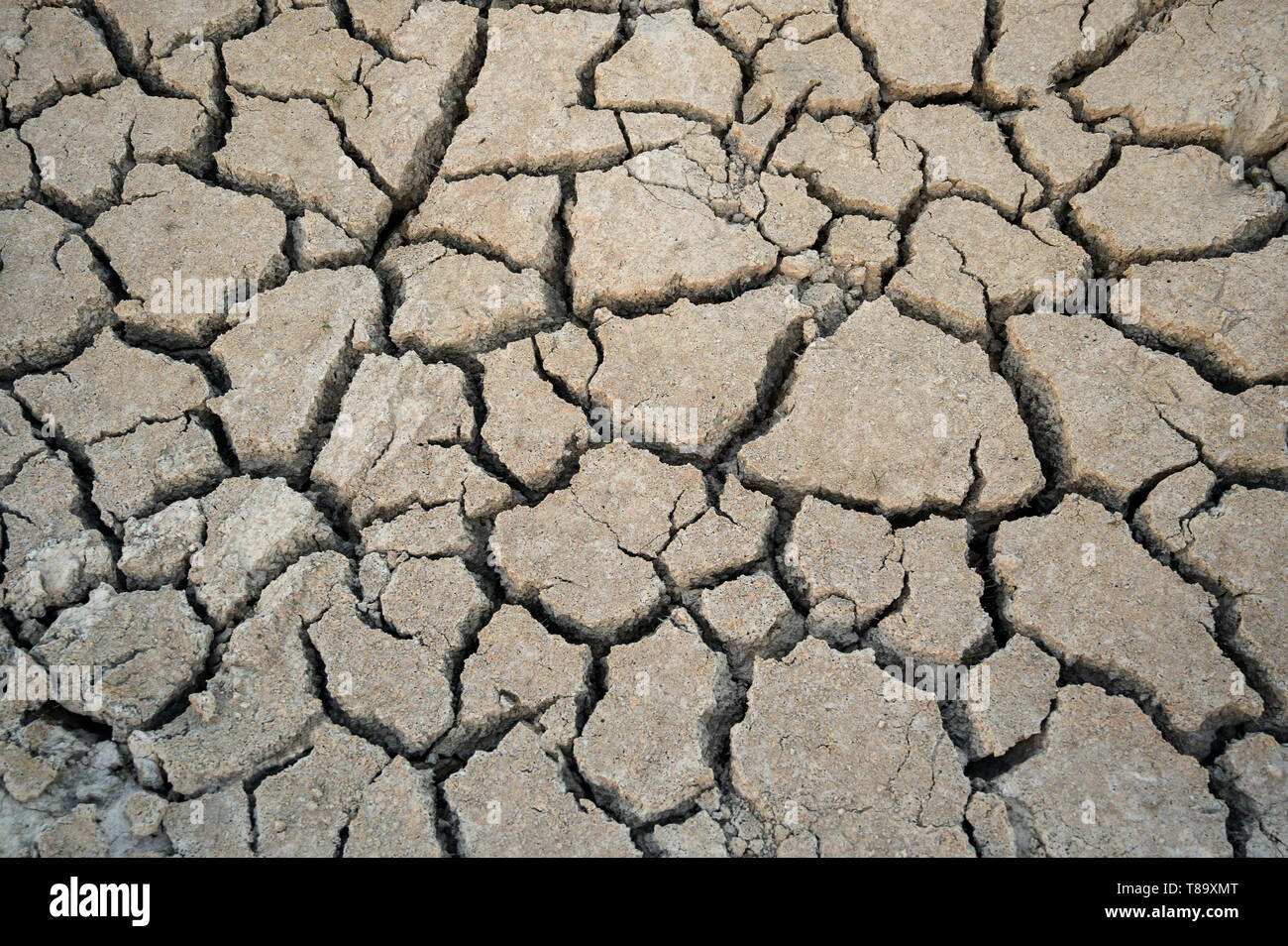 soil drought cracks texture background for design Stock Photo Alamy