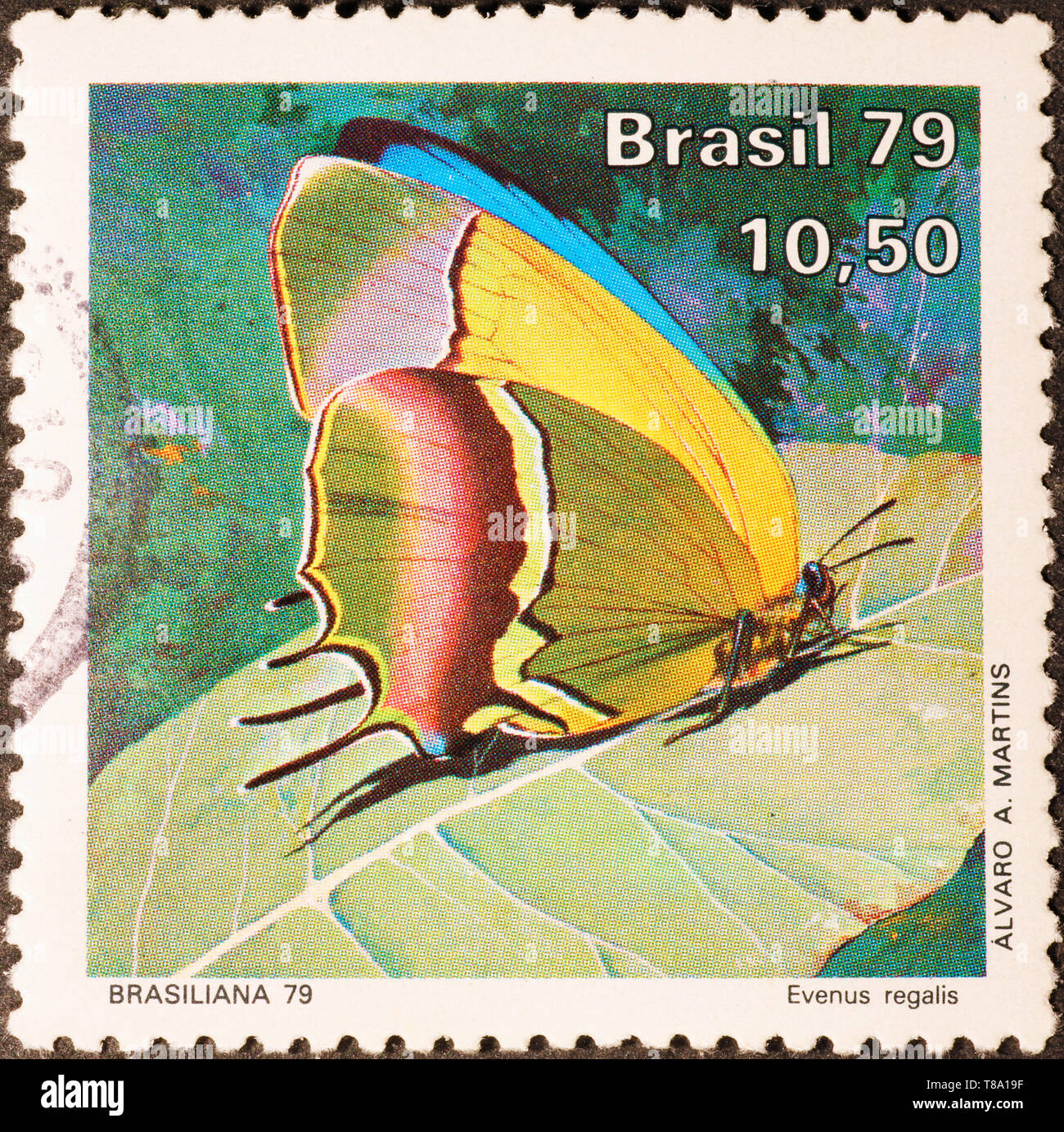 Amazing butterfly on brazilian postage stamp Stock Photo