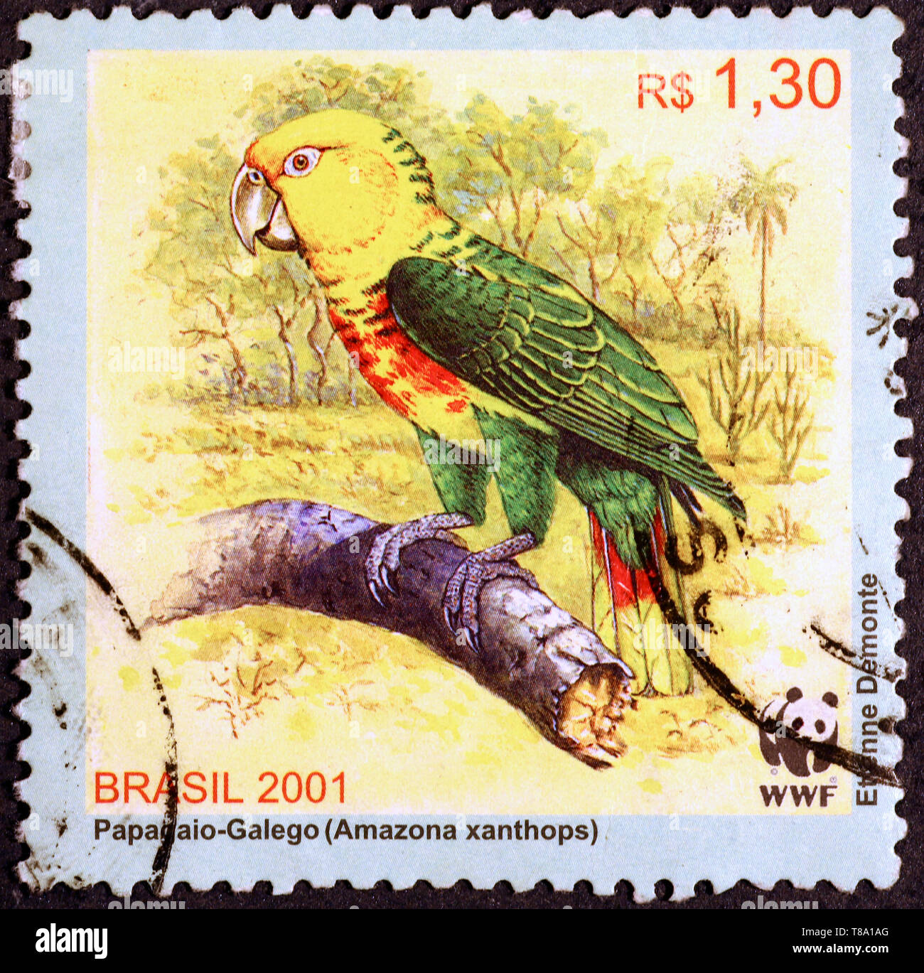 Brazilian parrot on postage stamp Stock Photo