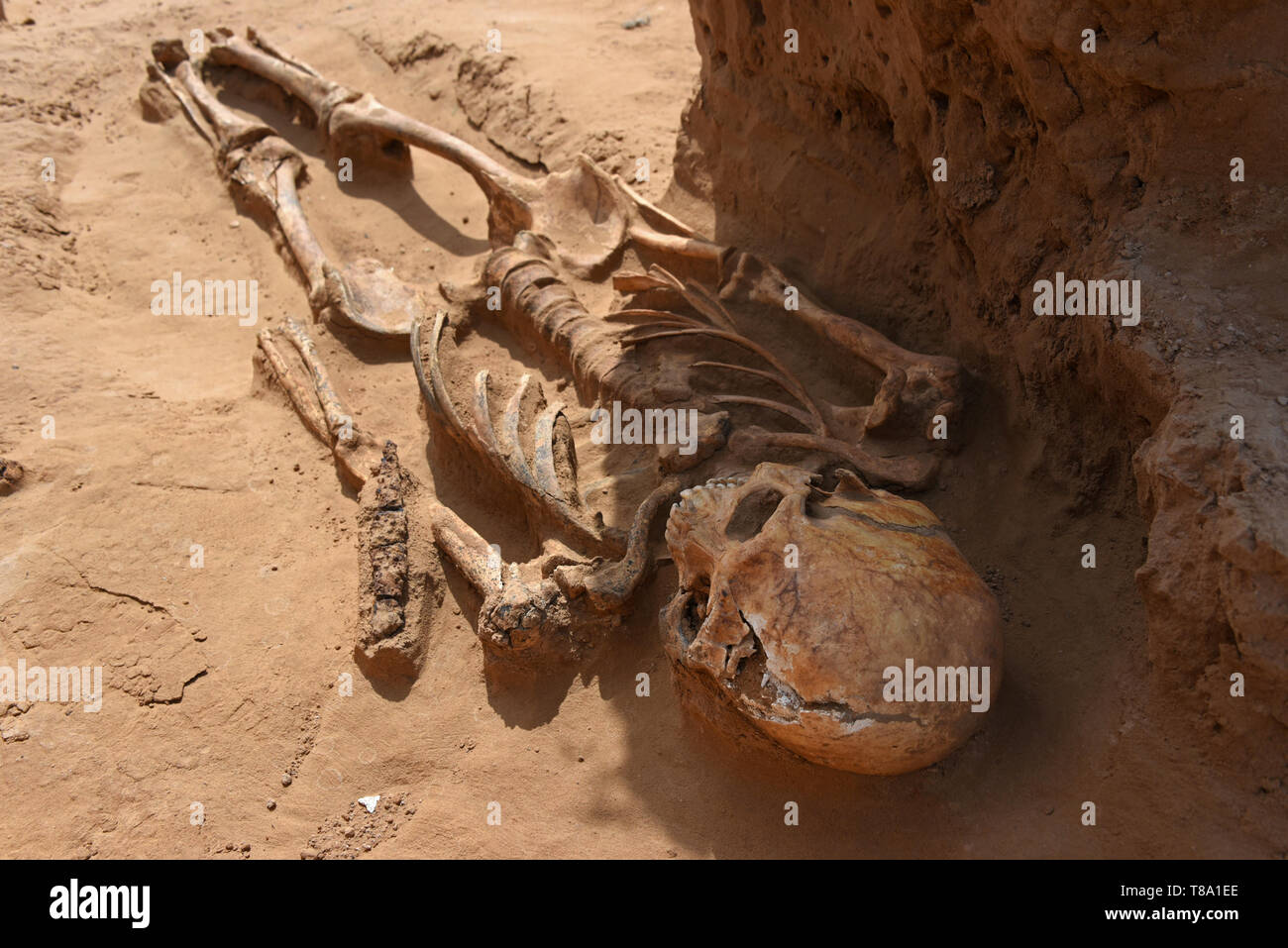 Archaeological excavations of the Sarmatians burials with gold treasures in Astrakhan, Russia. Stock Photo