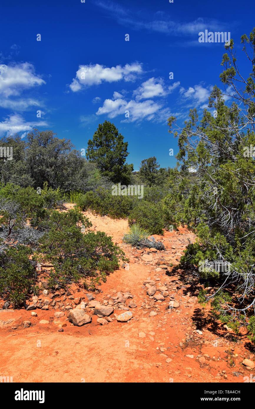 Views from the Lower Sand Cove trail to the Vortex formation, by Snow