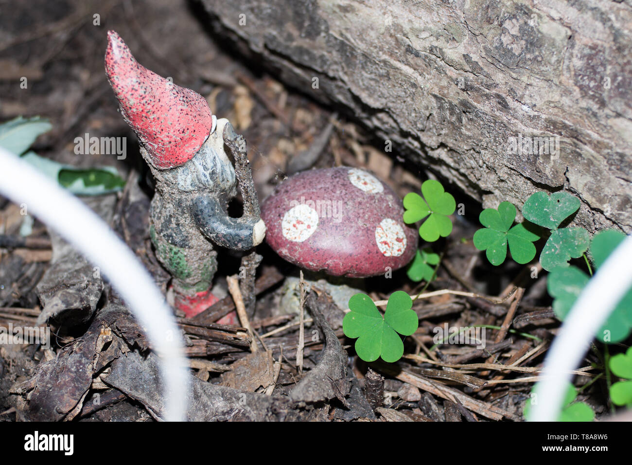 Garden Gnome Stock Photo