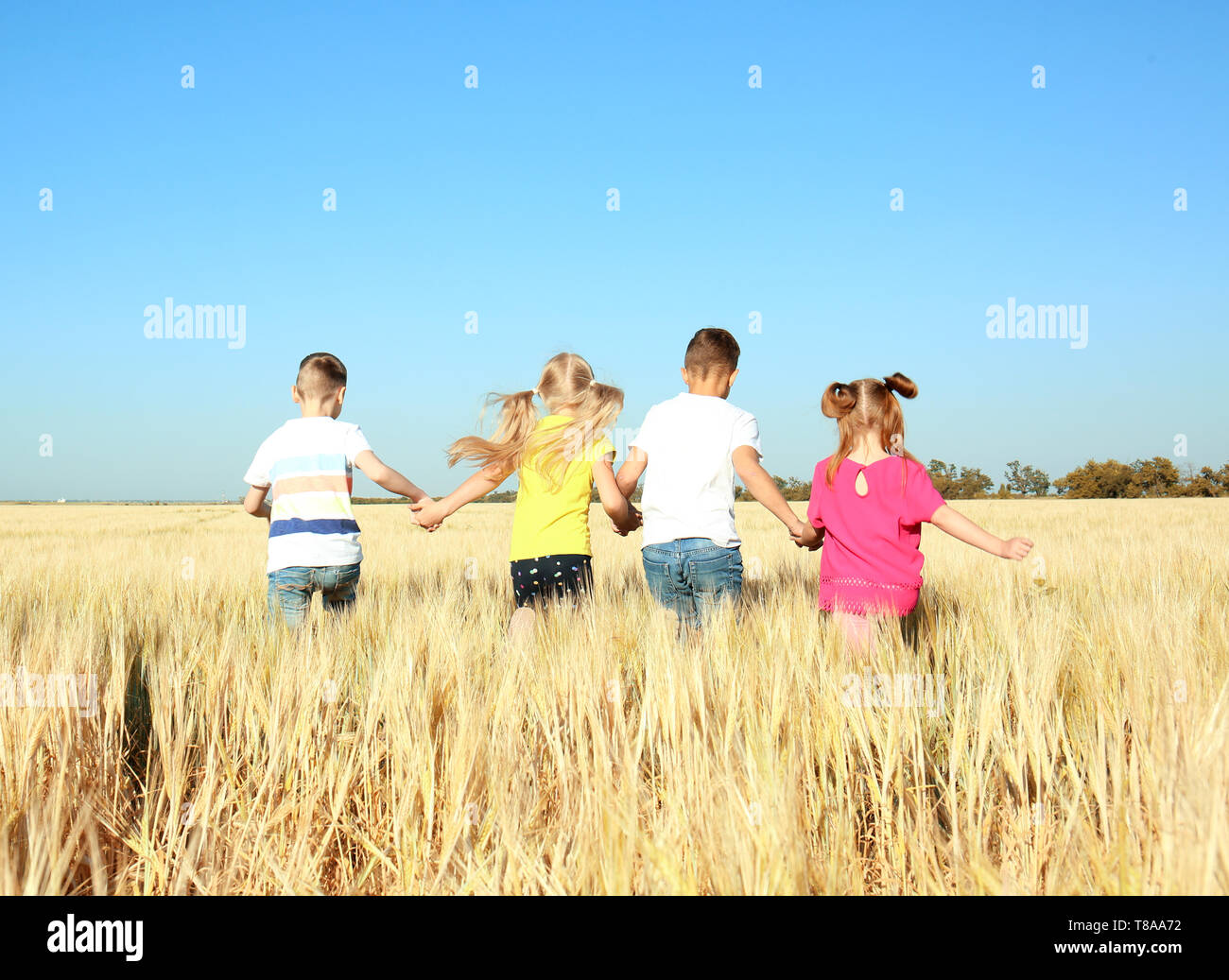 Cute little children playing in wheat field on sunny day Stock Photo ...