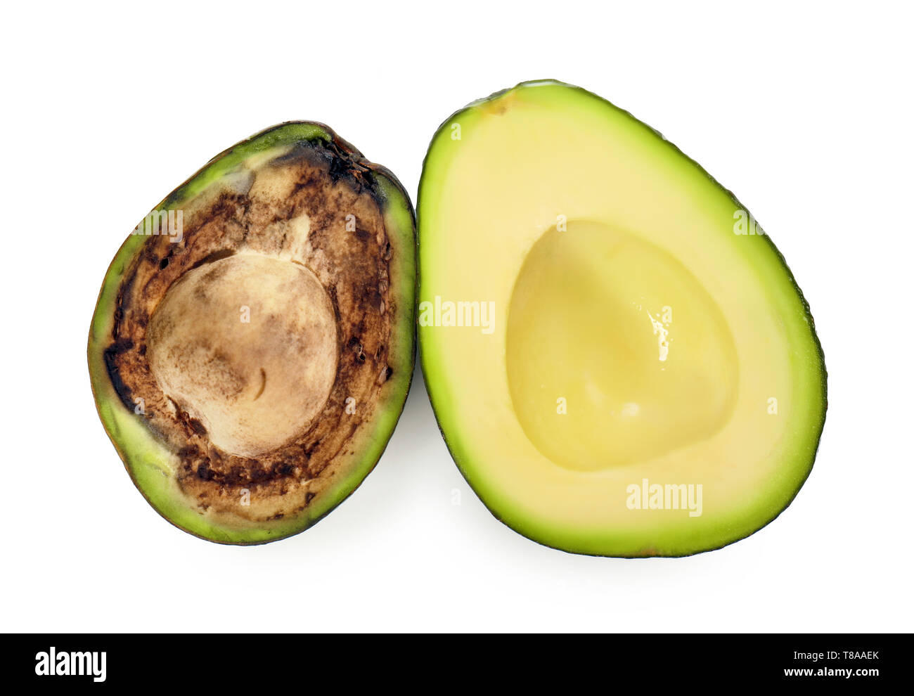 Rotten avocado Cut Out Stock Images & Pictures Alamy