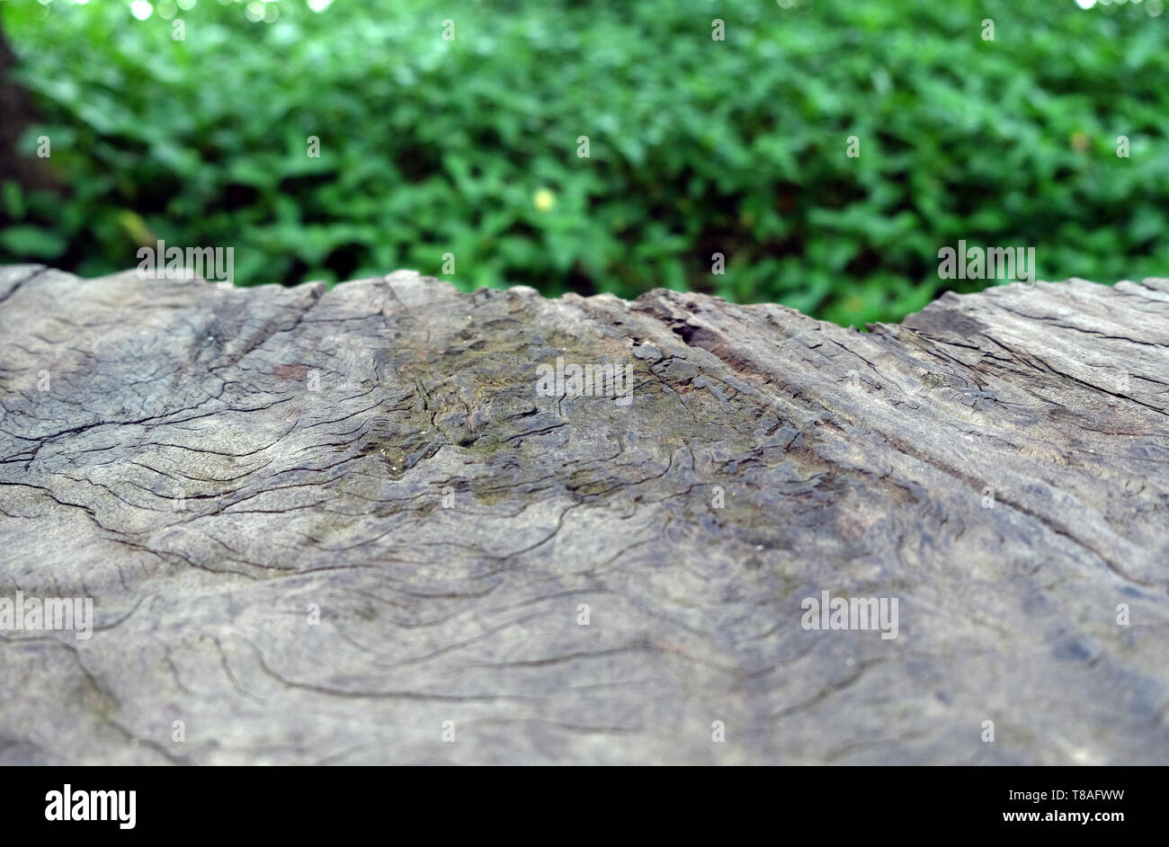 Abstract table top background hi-res stock photography and images - Alamy