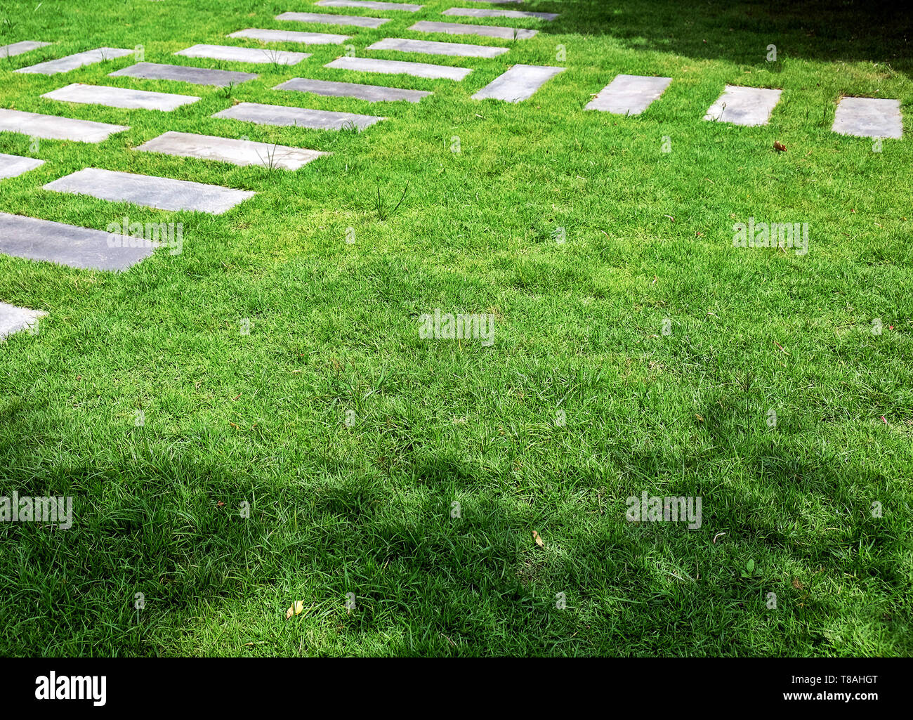 The way path in outdoor green grass park Stock Photo - Alamy