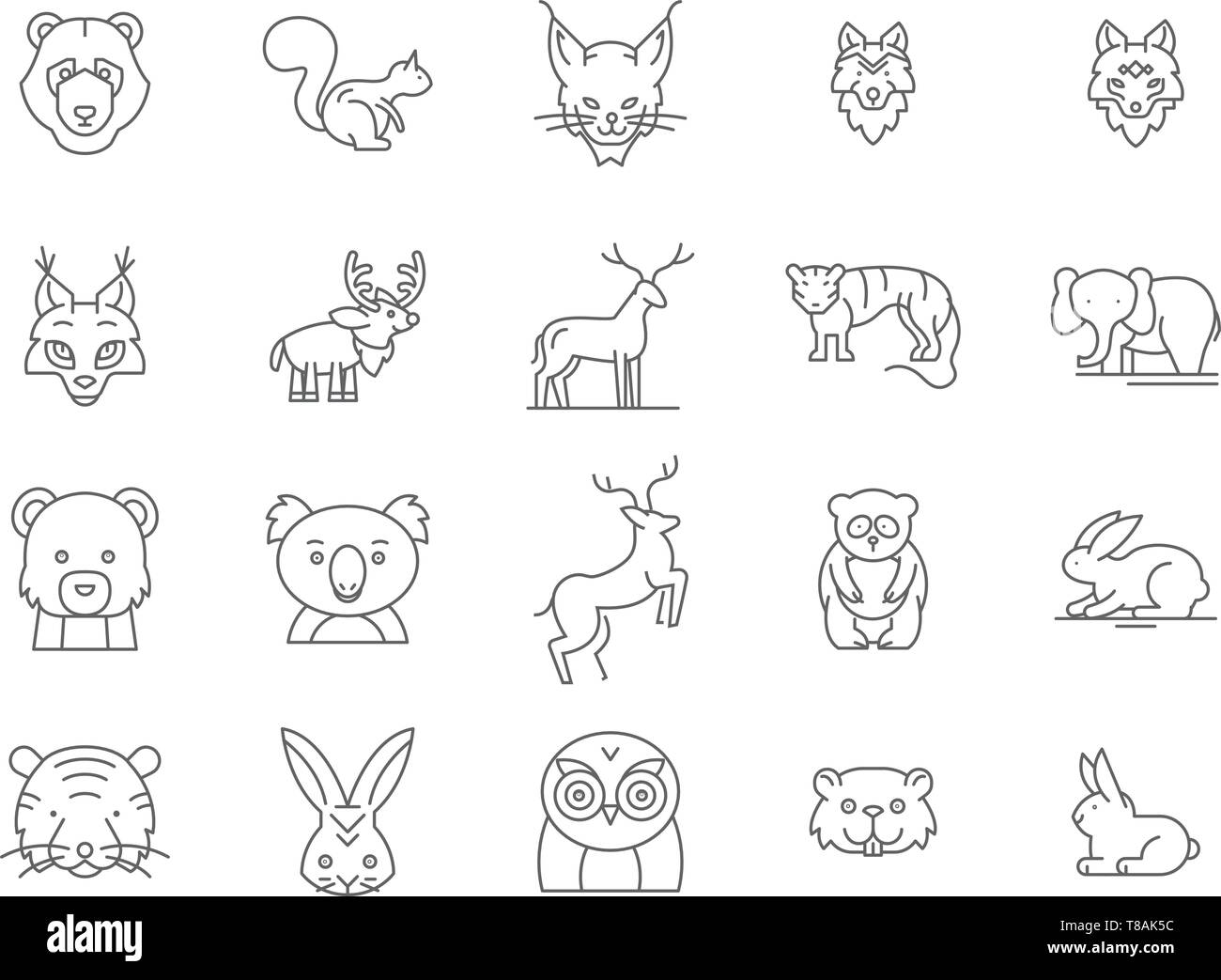 Forest animals line icons, signs, vector set, outline illustration concept  Stock Vector Image & Art - Alamy