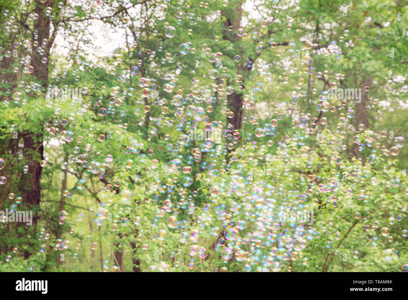 The rainbow bubbles from the bubble blower - Image Stock Photo