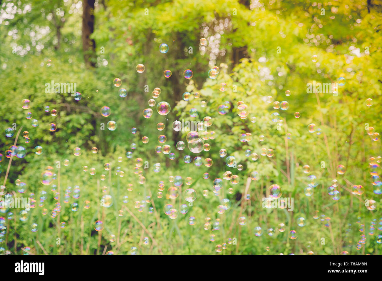 The rainbow bubbles from the bubble blower - Image Stock Photo