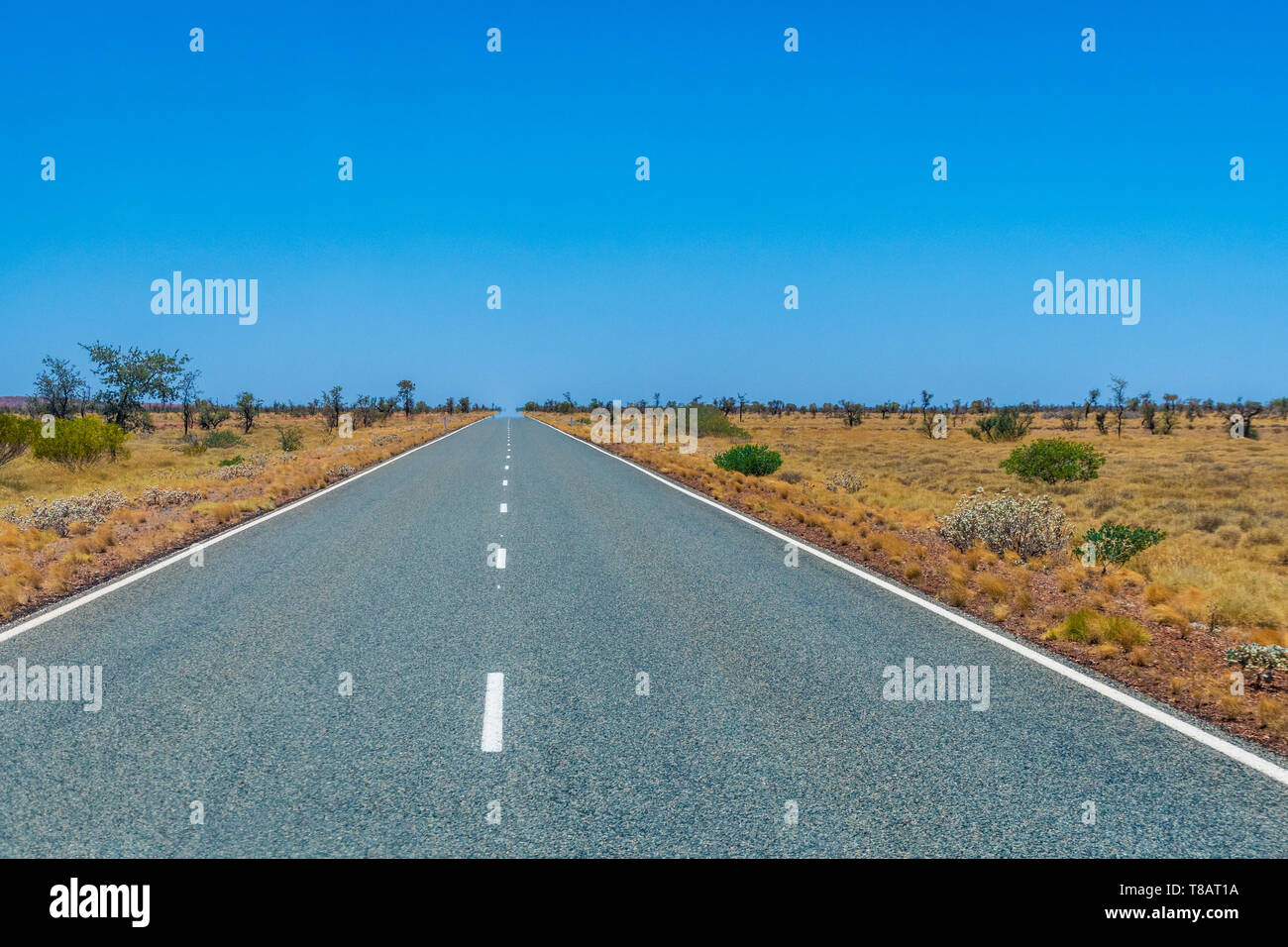 Long empty road in Australia leading through savanna landscape touching the horizon Stock Photo