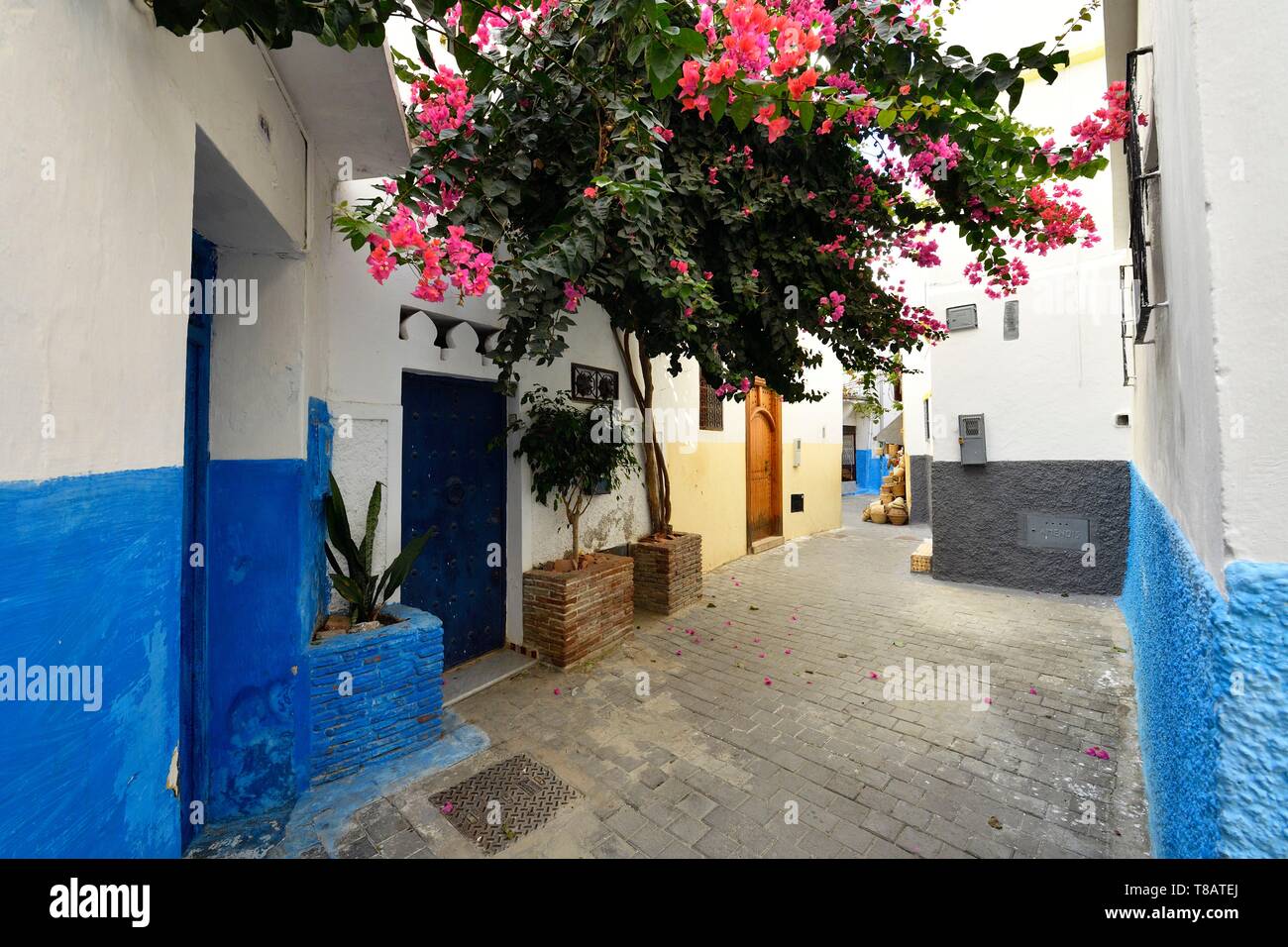 Morocco, Tangier Tetouan region, Tangier, The old city (medina), narrow street in the Kasbah Stock Photo