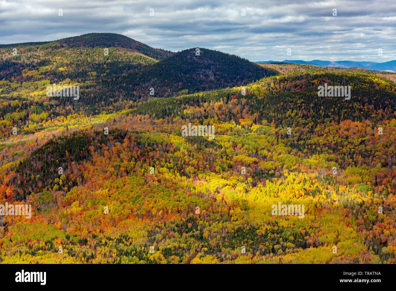 Boreal forest mountains hi-res stock photography and images - Alamy
