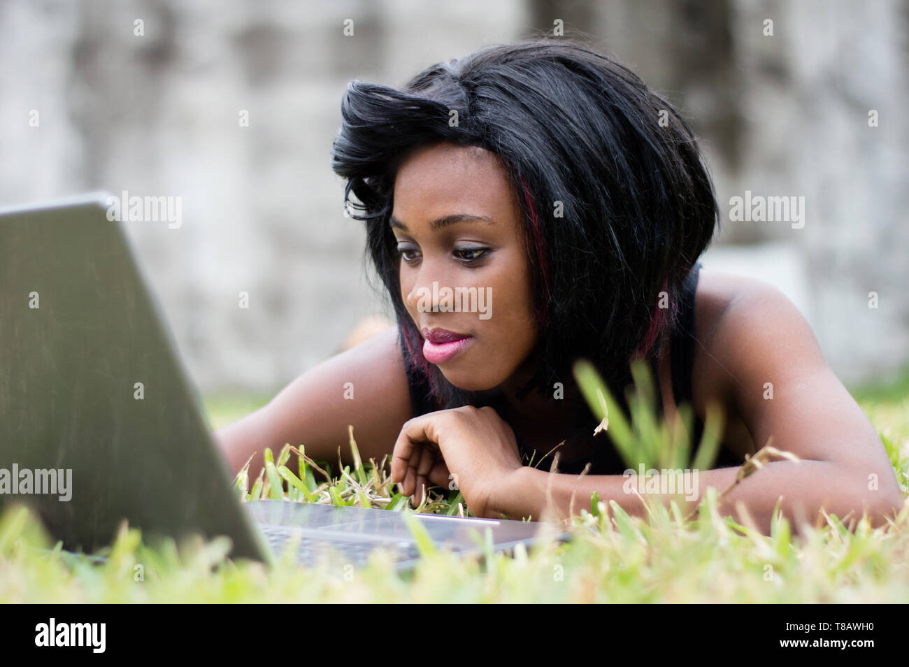 pretty woman lying on herbs, is focused on her laptop in front of her. Stock Photo