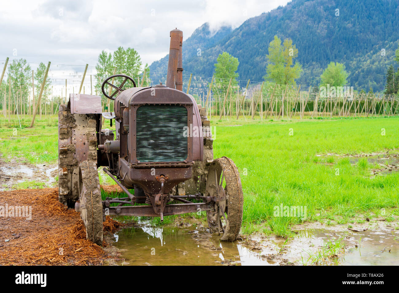 Antiquated rusty tractor on a real farm with historical engineering design of farm equipment from days old. Stock Photo
