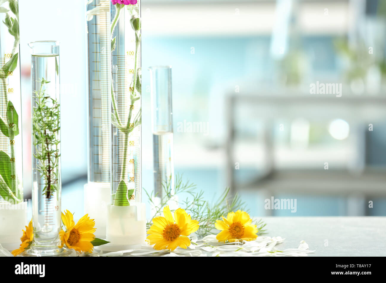 Flowers plants test tubes : 6 684 images, photos de stock, objets 3D et  images vectorielles