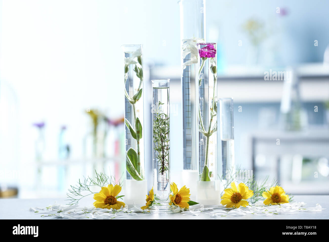 Flowers plants test tubes : 6 684 images, photos de stock, objets 3D et  images vectorielles