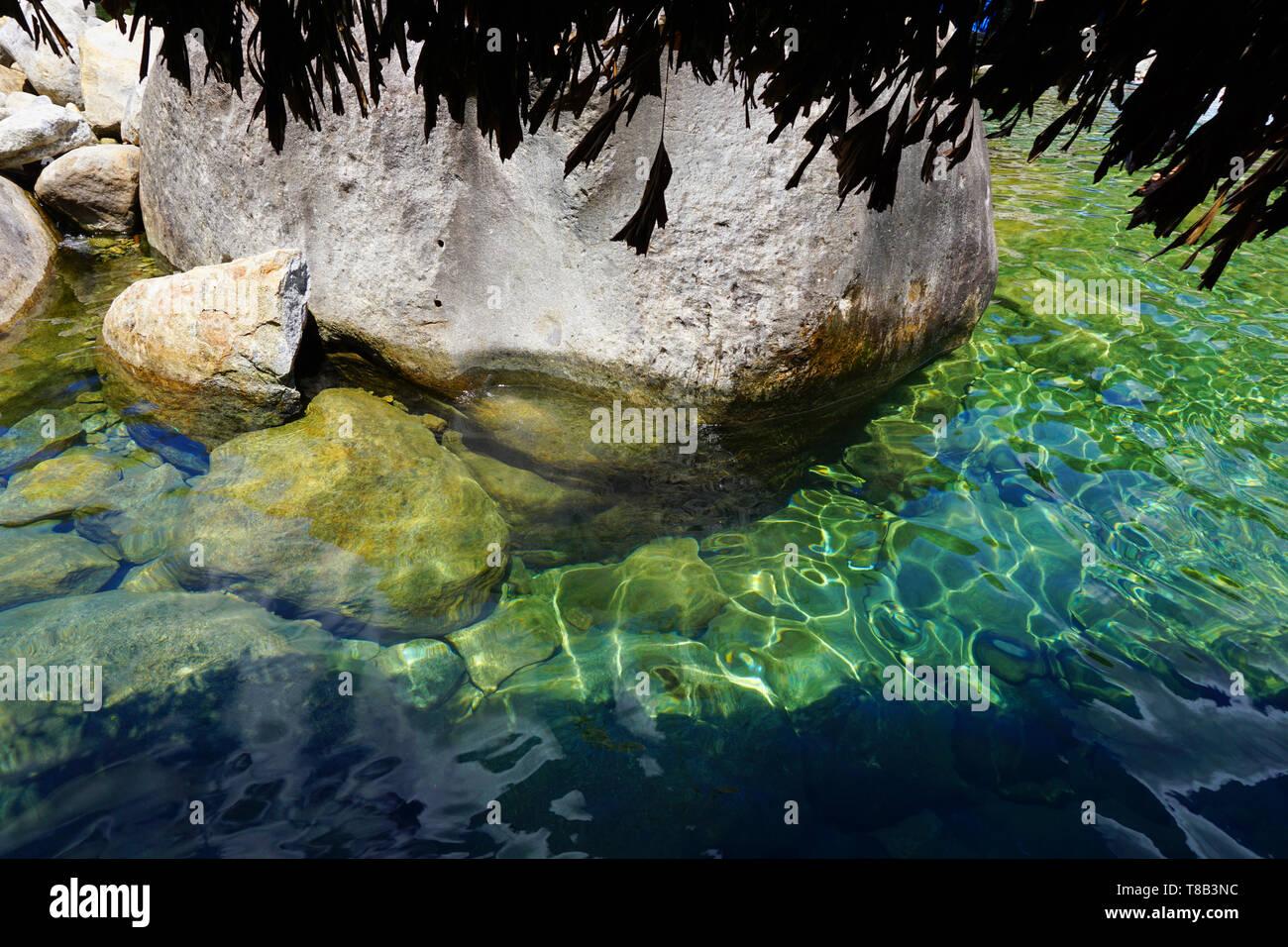 Elephant Spring - Beautiful crystal clear water spring for swimming ...