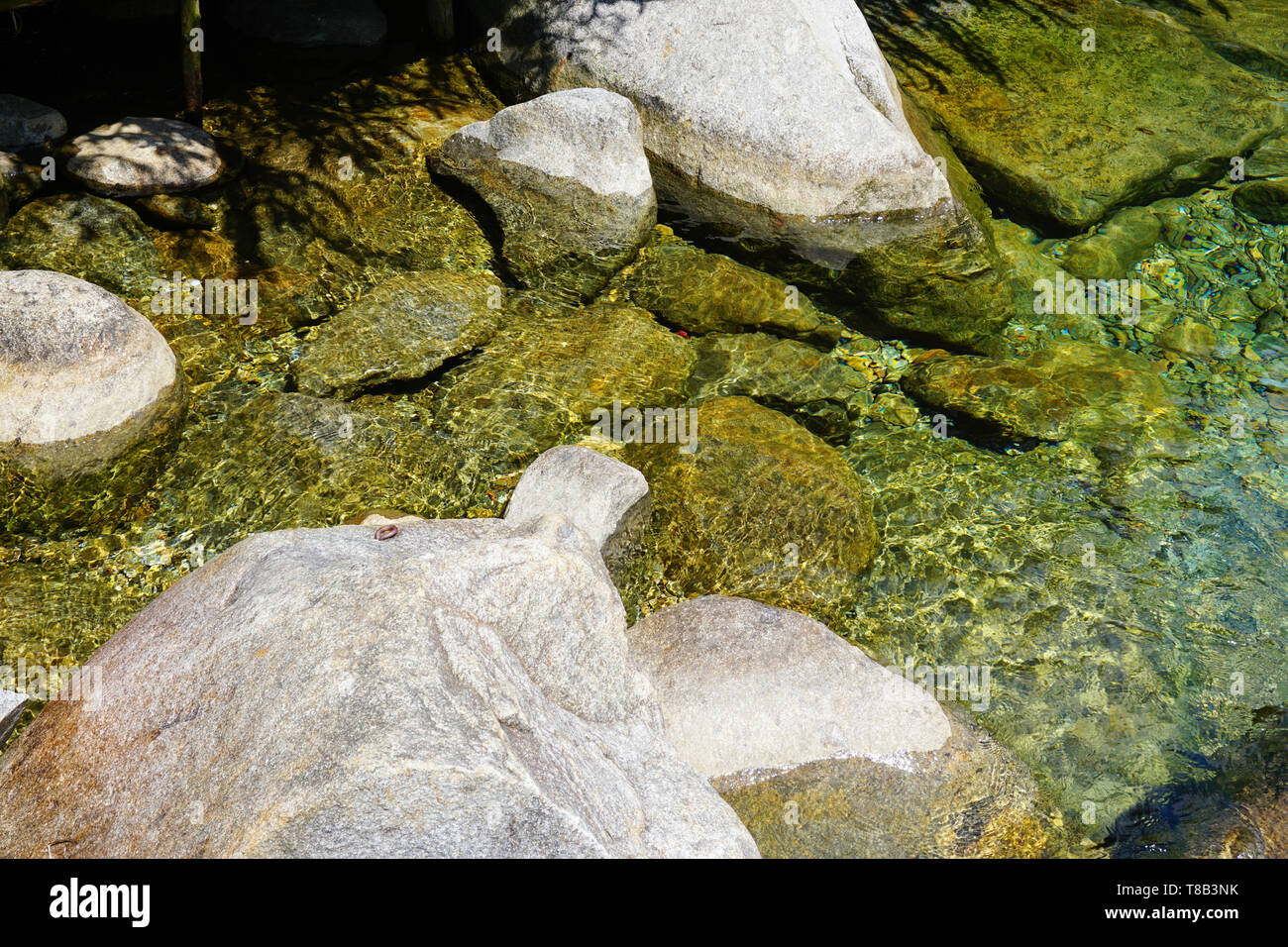 Elephant Spring - Beautiful crystal clear water spring for swimming ...