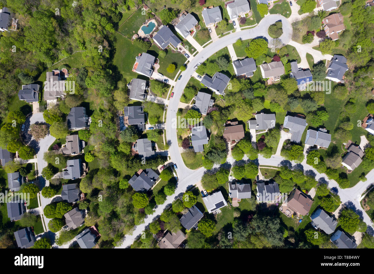 upper middle class american neighborhood with curving street in the