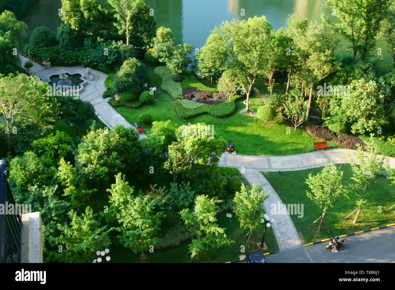 Bird's eye view of the garden Stock Photo Alamy