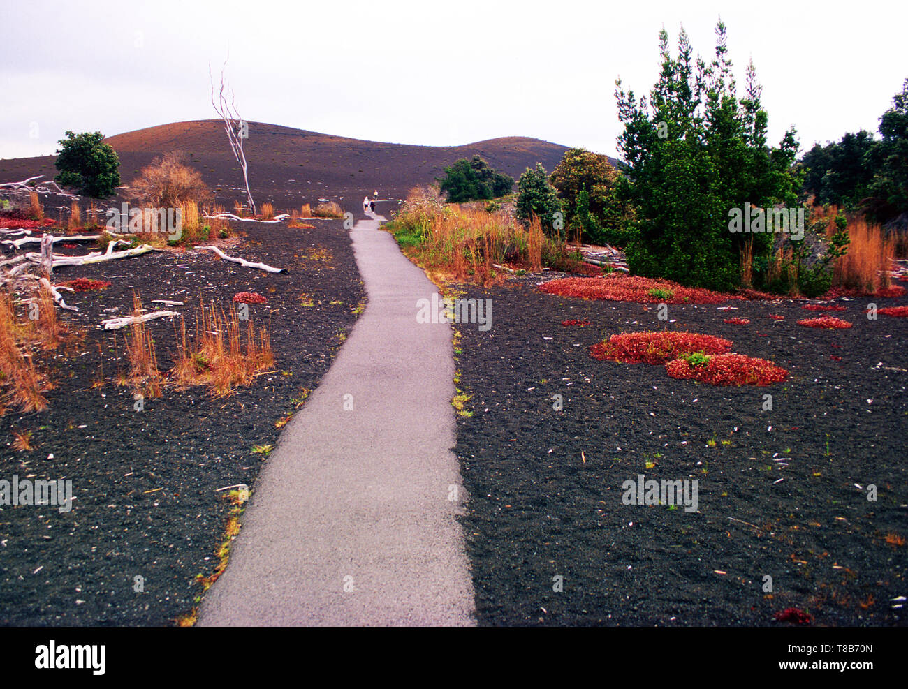 Devastation trail hi-res stock photography and images - Alamy