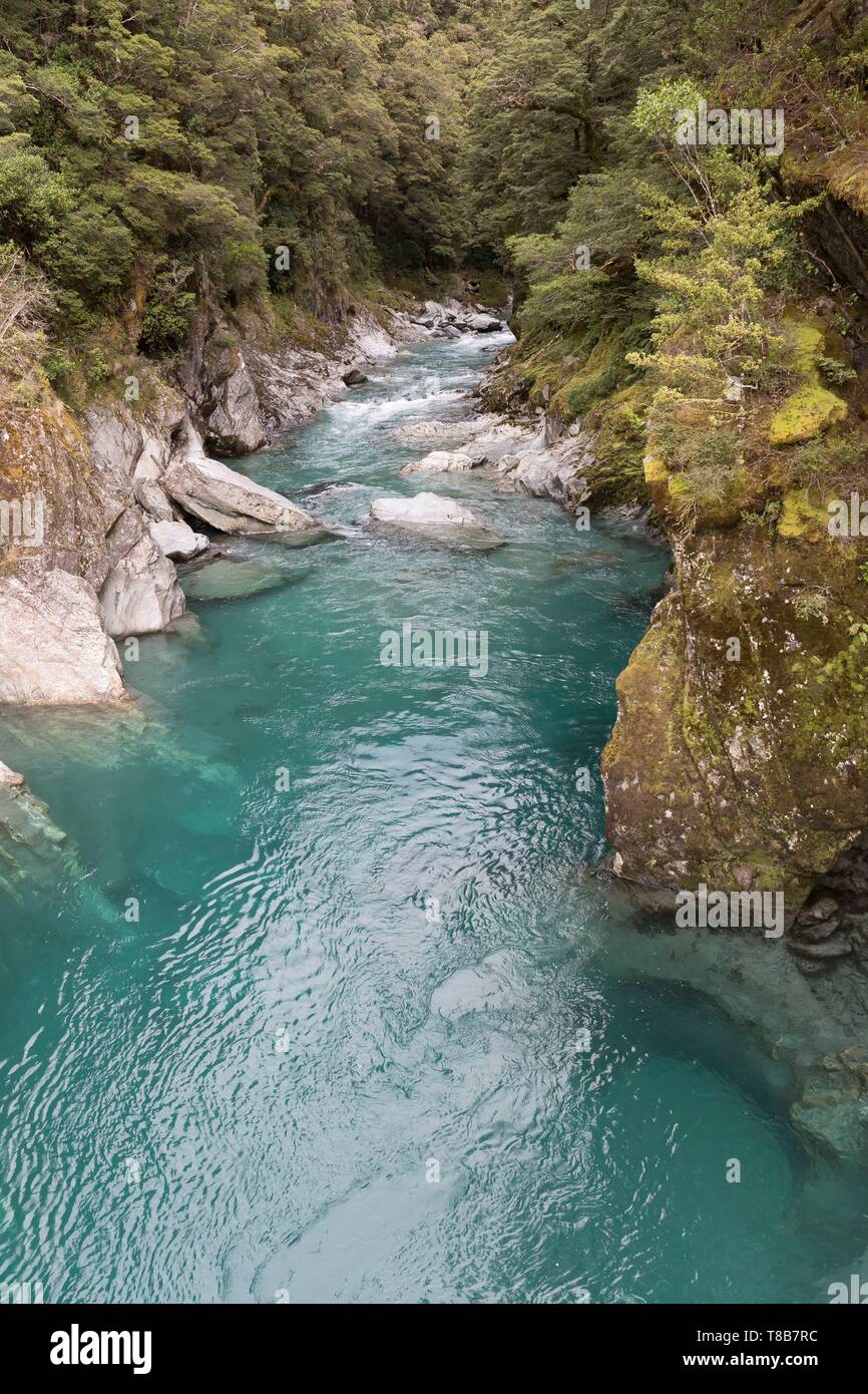 New Zealand, South Island, West Coast region, Mount Aspiring National Park, labelled Unesco World Heritage, Blue River gorge at Blue Pools Stock Photo