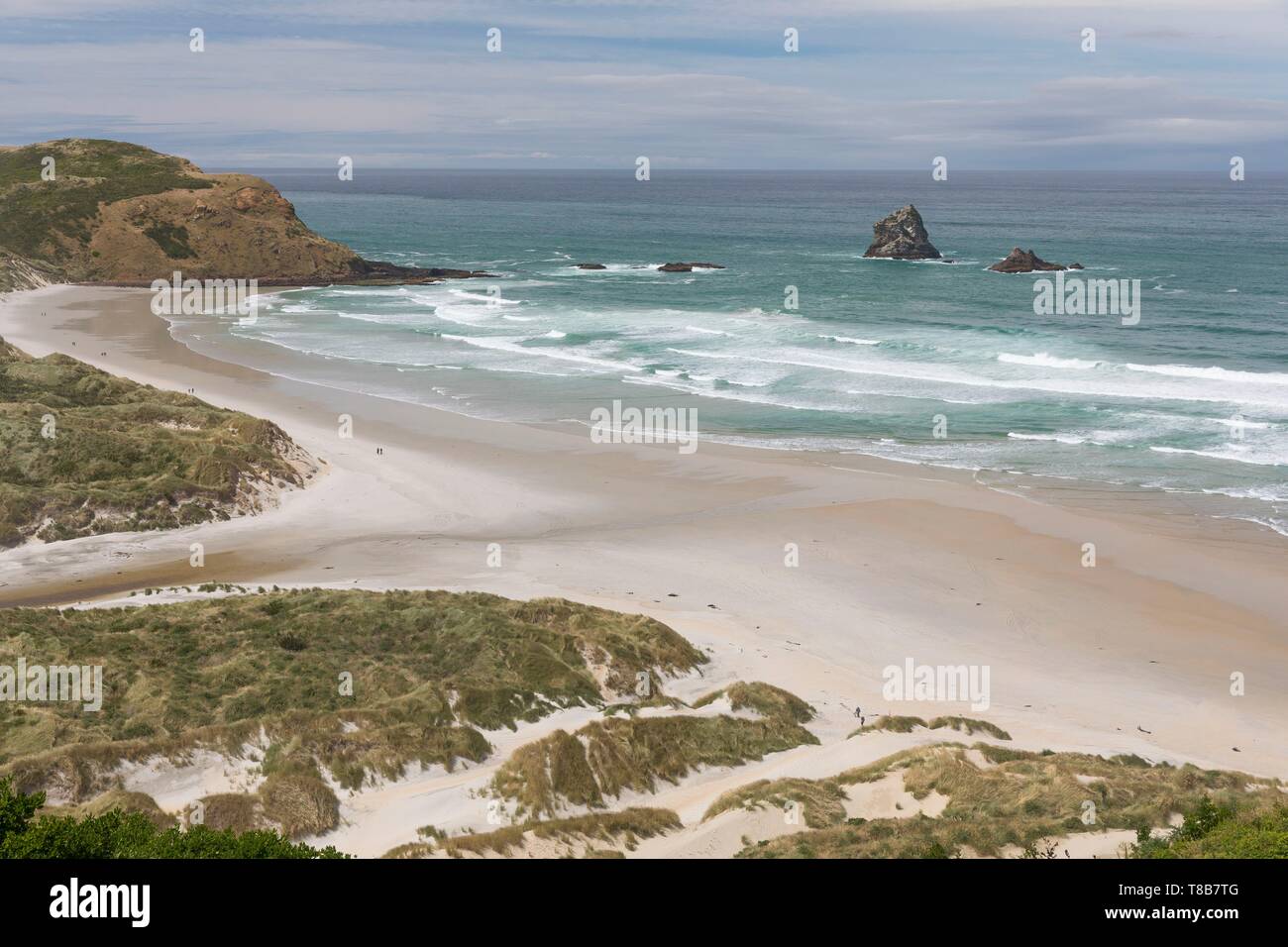 New Zealand, South Island, Otago region, Dunedin, Otago Peninsula, Sandfly Beach Stock Photo