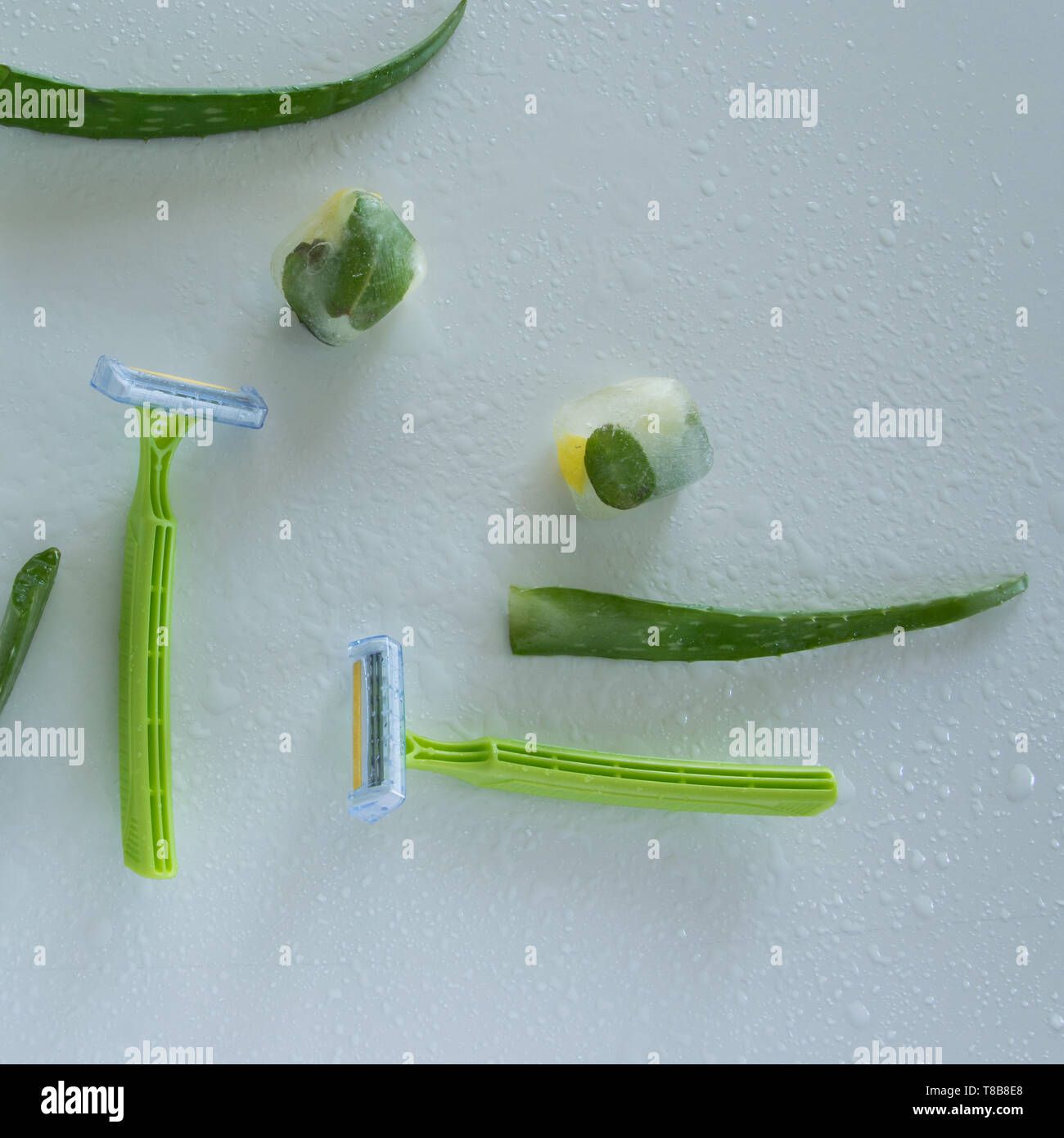 Shaving accessory for sensitive skin. Disposable razor with aloe vera ...