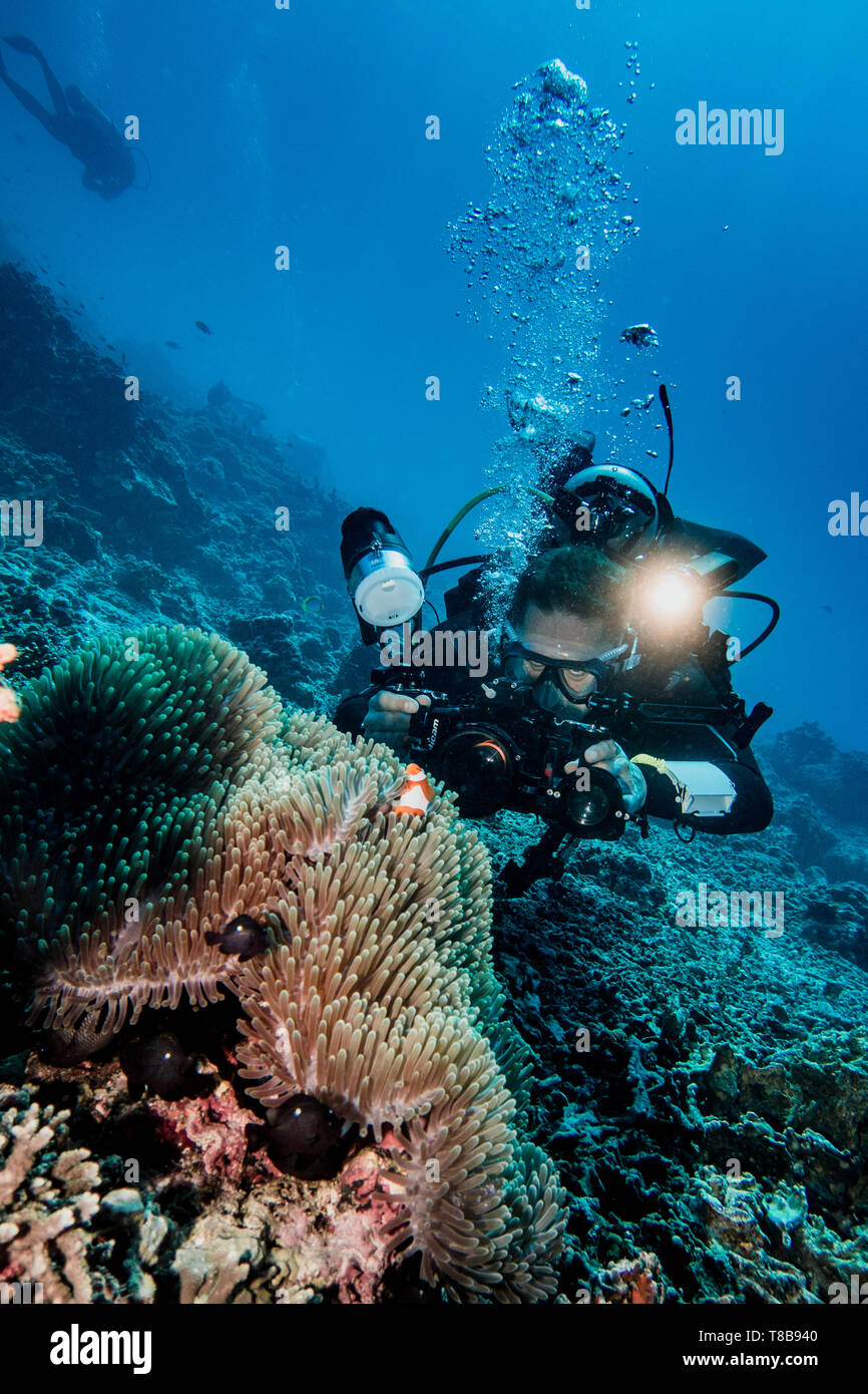 Underwater photographer taking a photo of clown fish while scuba diving Stock Photo