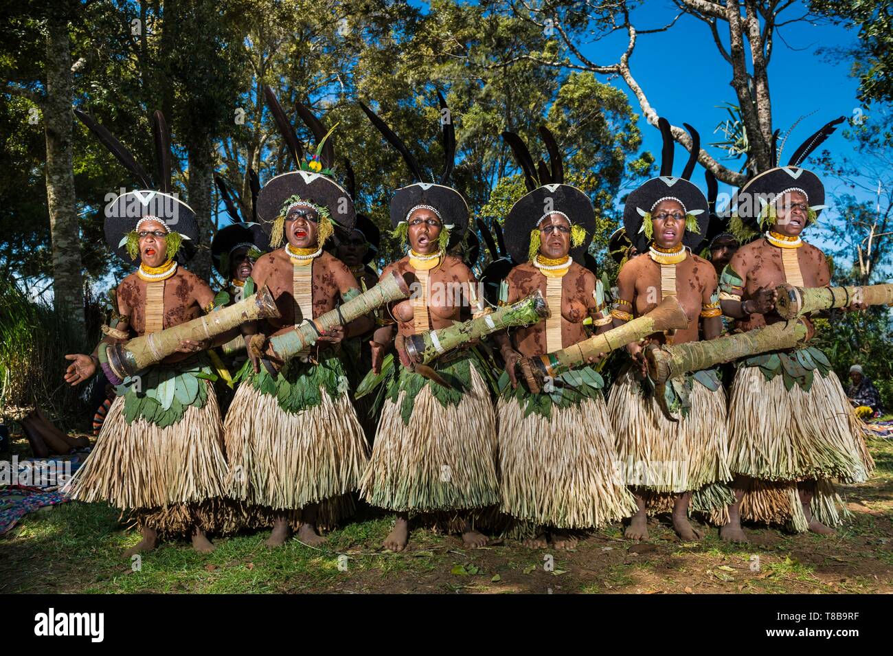  Papua New Guinea, Western Highlands Province, Wahgi Valley, Mount 