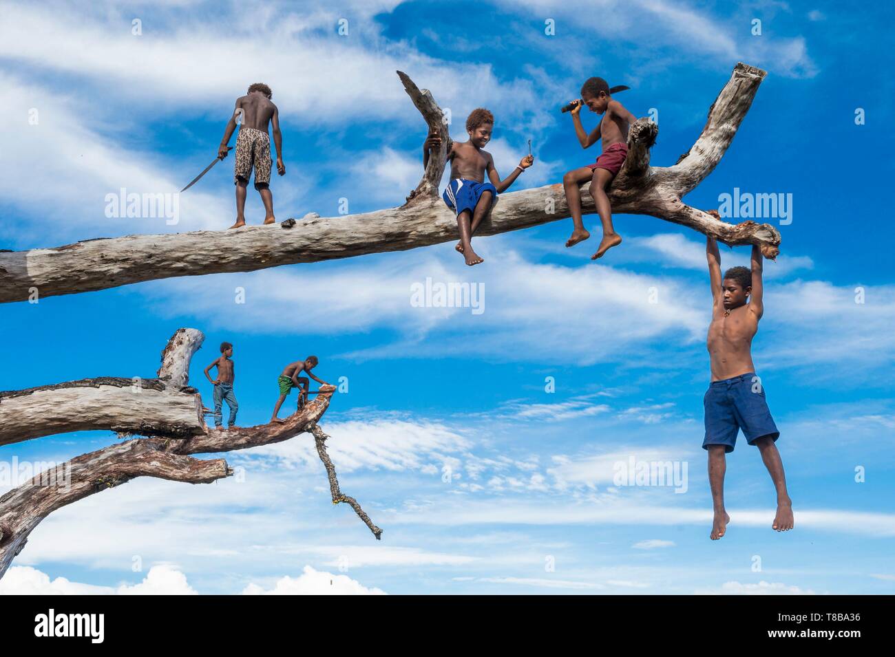 Papua New Guinea, New Britain island, West New Britain province, Talasea district, Kimbe area, Tamuniaï village, kid playing in the trees Stock Photo