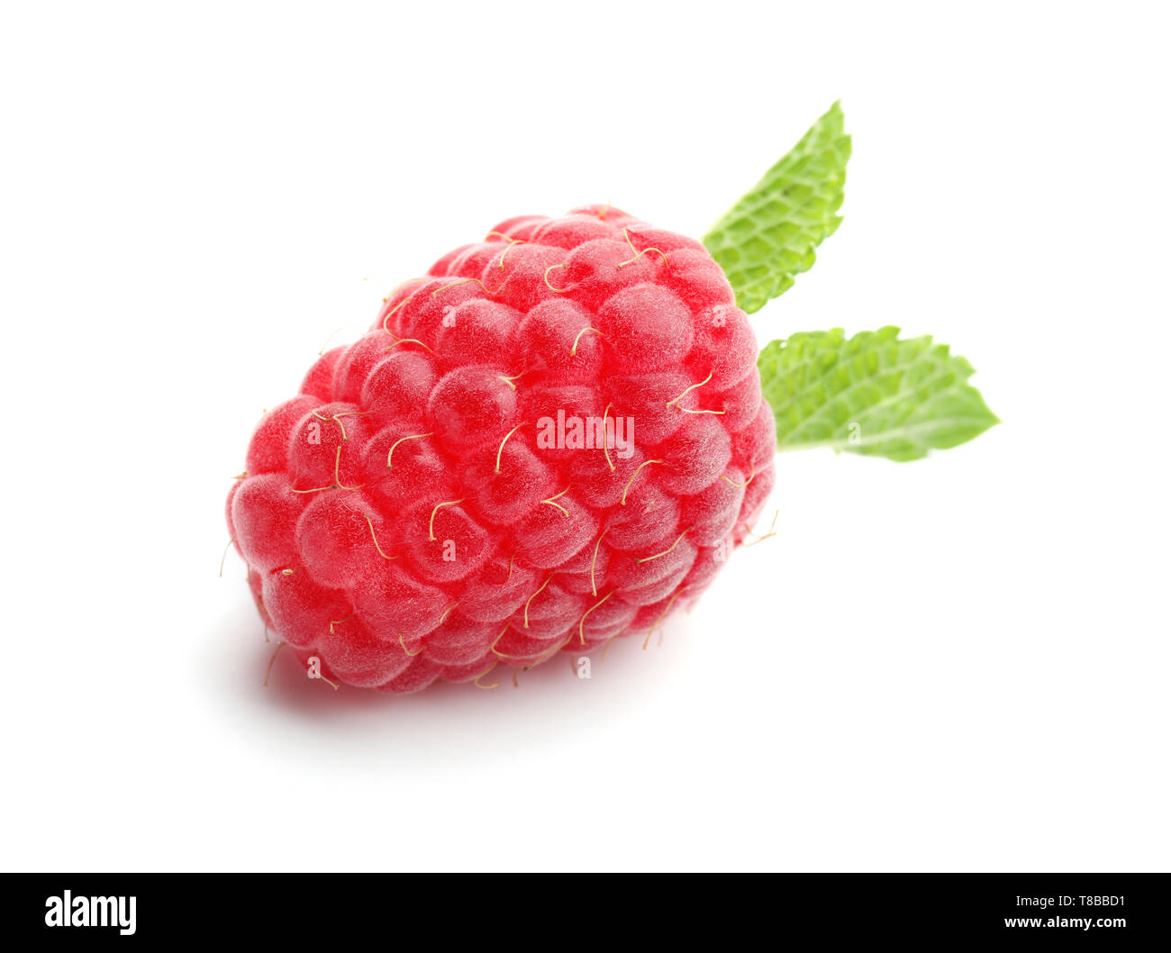 One ripe aromatic raspberry hi-res stock photography and images - Alamy