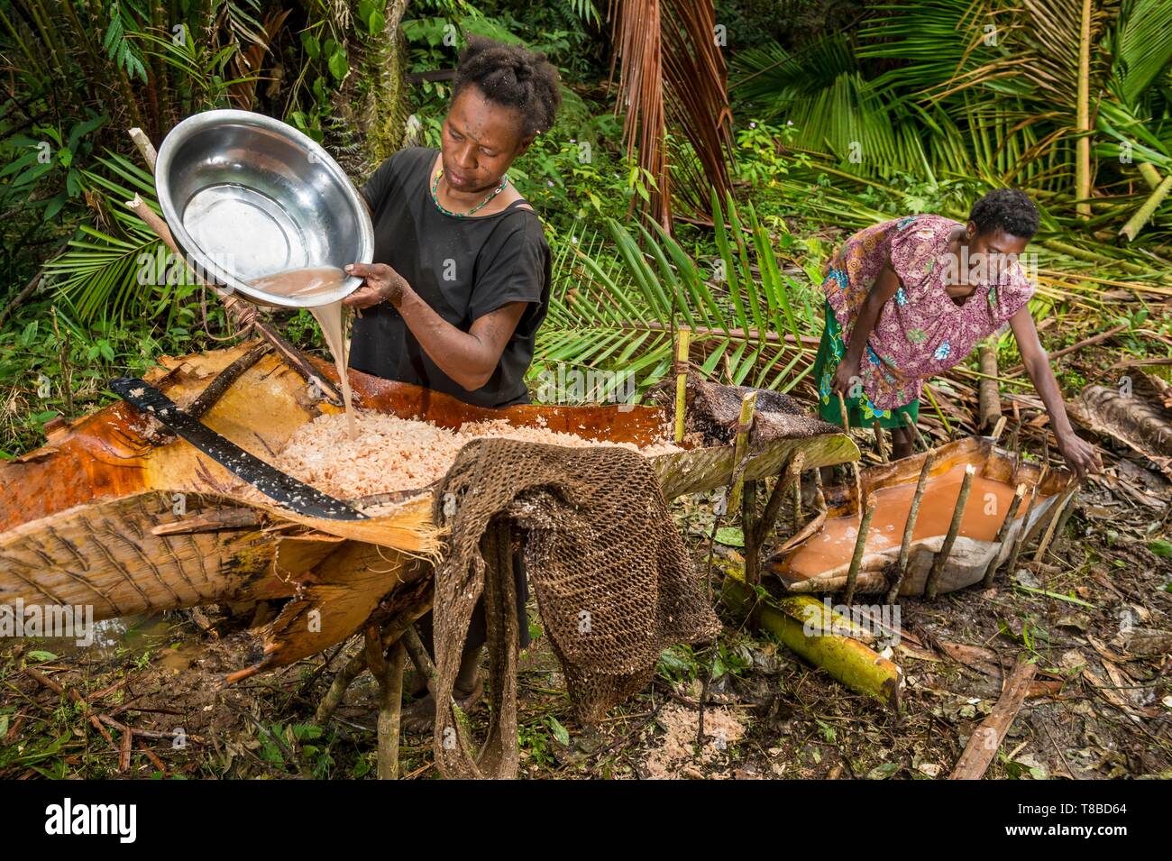 Papua New Guinea, Southern Highlands province, Bosavi area, Kaluli tribe, Sugu village, Sago palm flour preparation Stock Photo