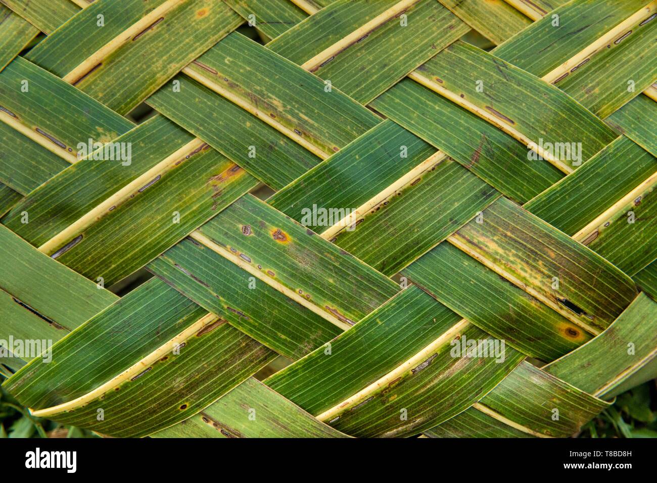 Papua New Guinea, Milne Bay Province, Encastreaux Sea, Trobriands Archipelago, Kiriwina Island, Okaiboma Village, coconut leaves Stock Photo