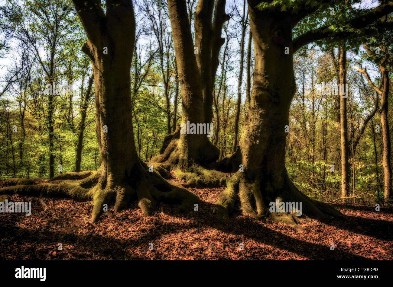 Recreation sun hi-res stock photography and images - Alamy