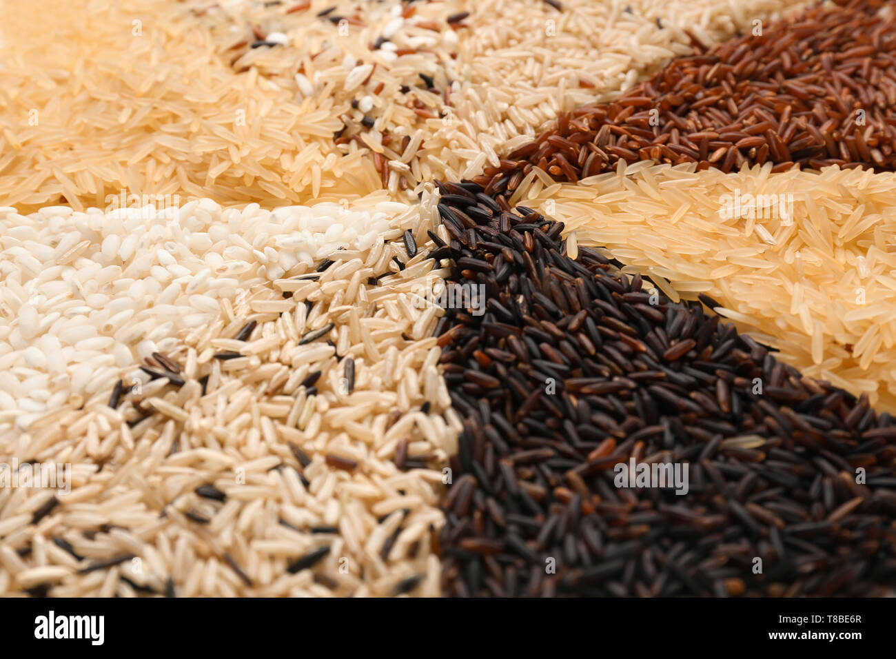 Different types of rice, closeup Stock Photo - Alamy