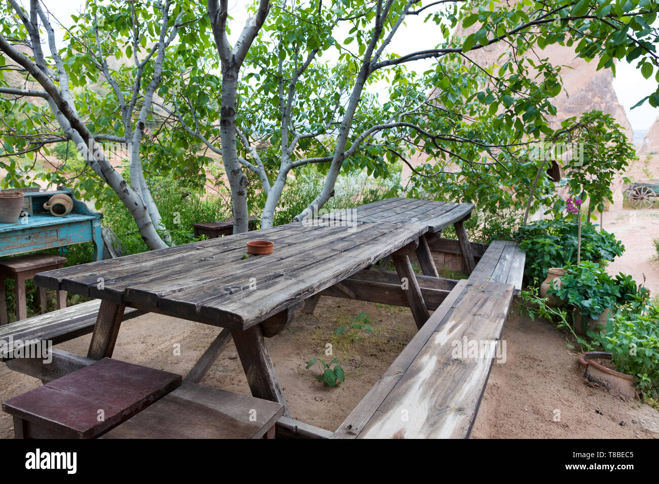 Old dining weathered wooden table and benches in the garden under the almond tree waiting for its owners Stock Photo