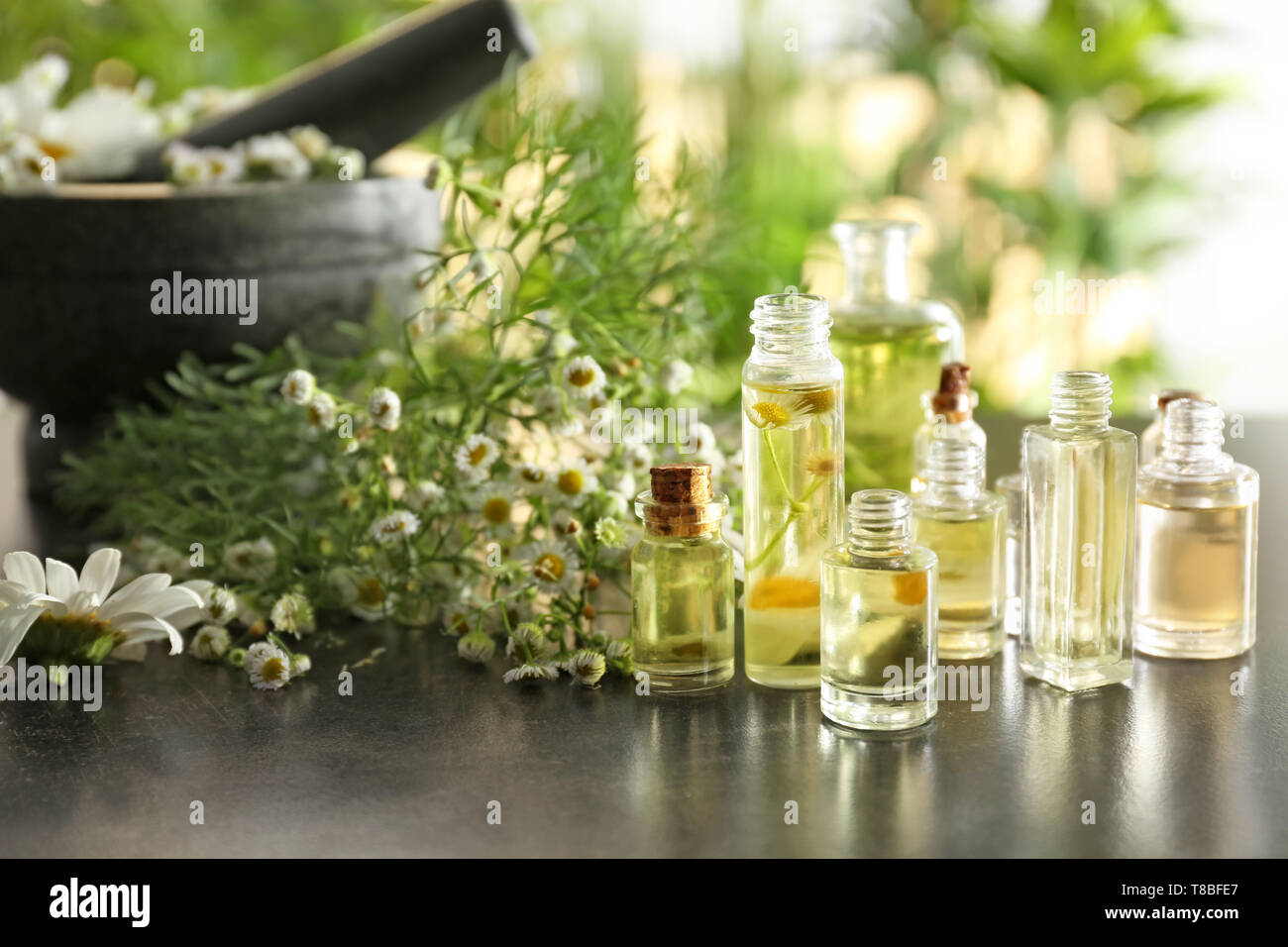 Chamomile essential oil bottles hi res stock photography and images Alamy Chamomile essential oil bottles hi res stock photography and images Alamy