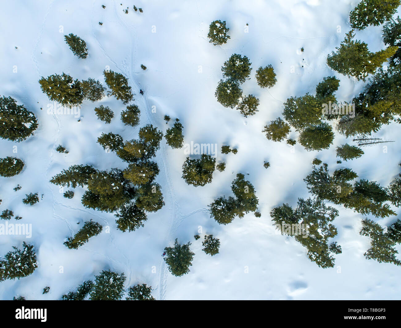 Aerial view hikers traversing snowy hi-res stock photography and images ...