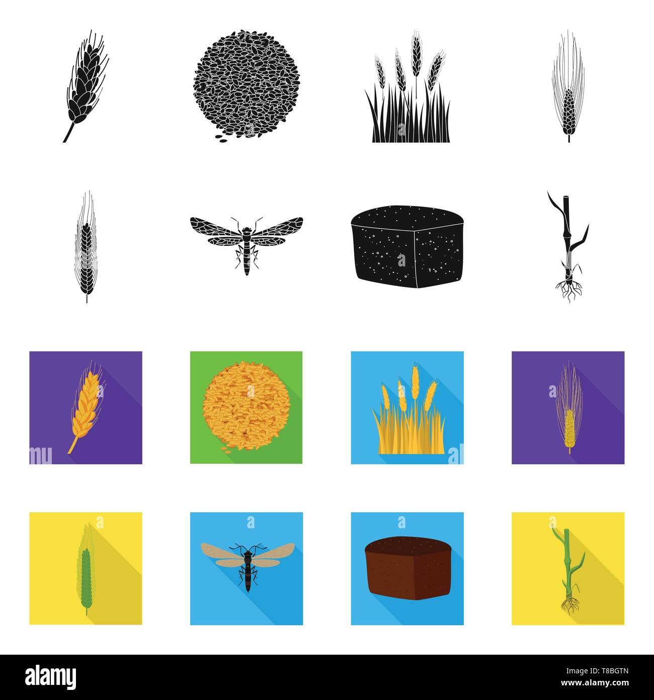 spring,barley,fly,bread,stem,spike,seeds,winter,insect,root,durum,crop ...