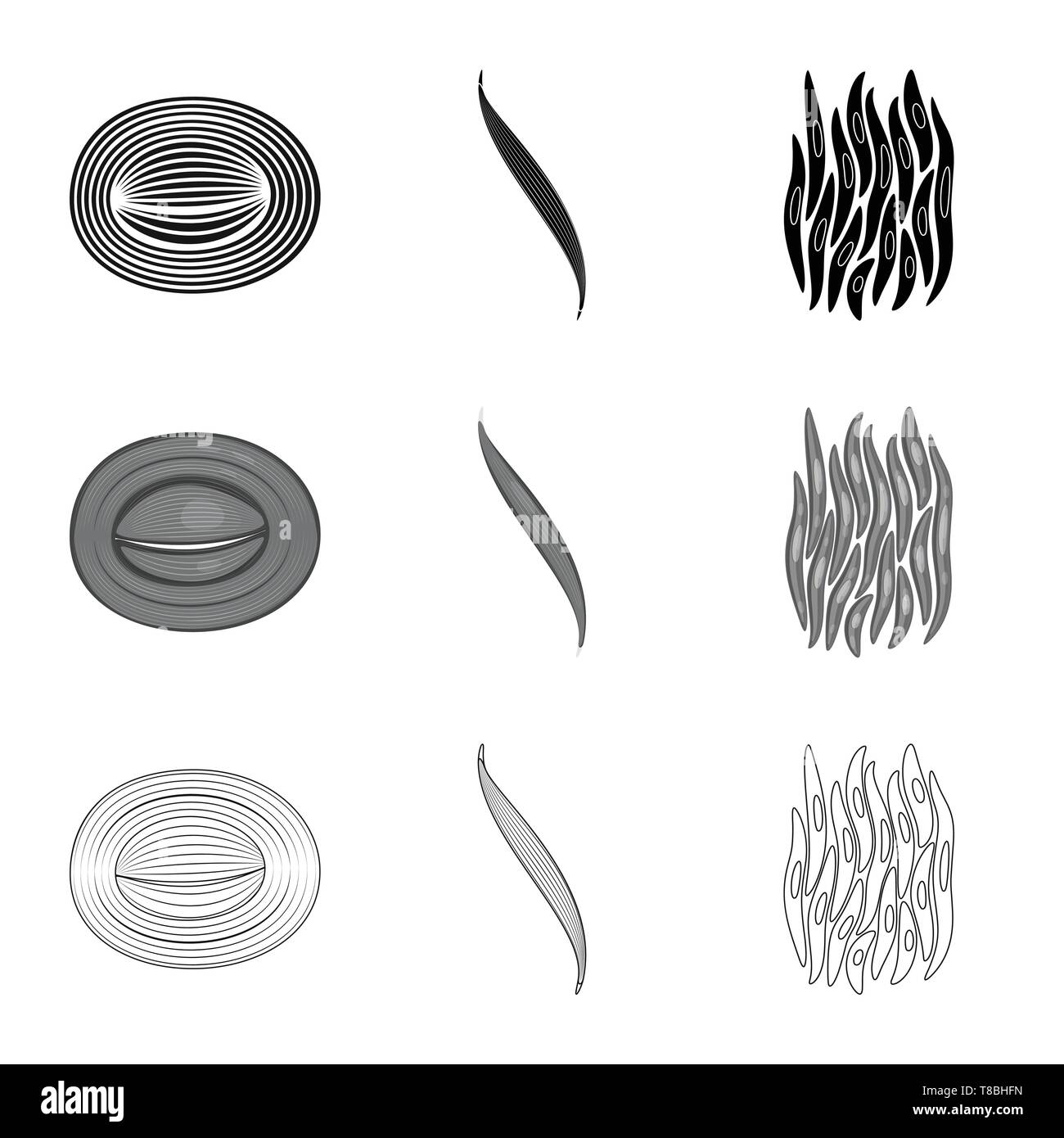 Isolated object of fiber and muscular logo. Set of fiber and body ...