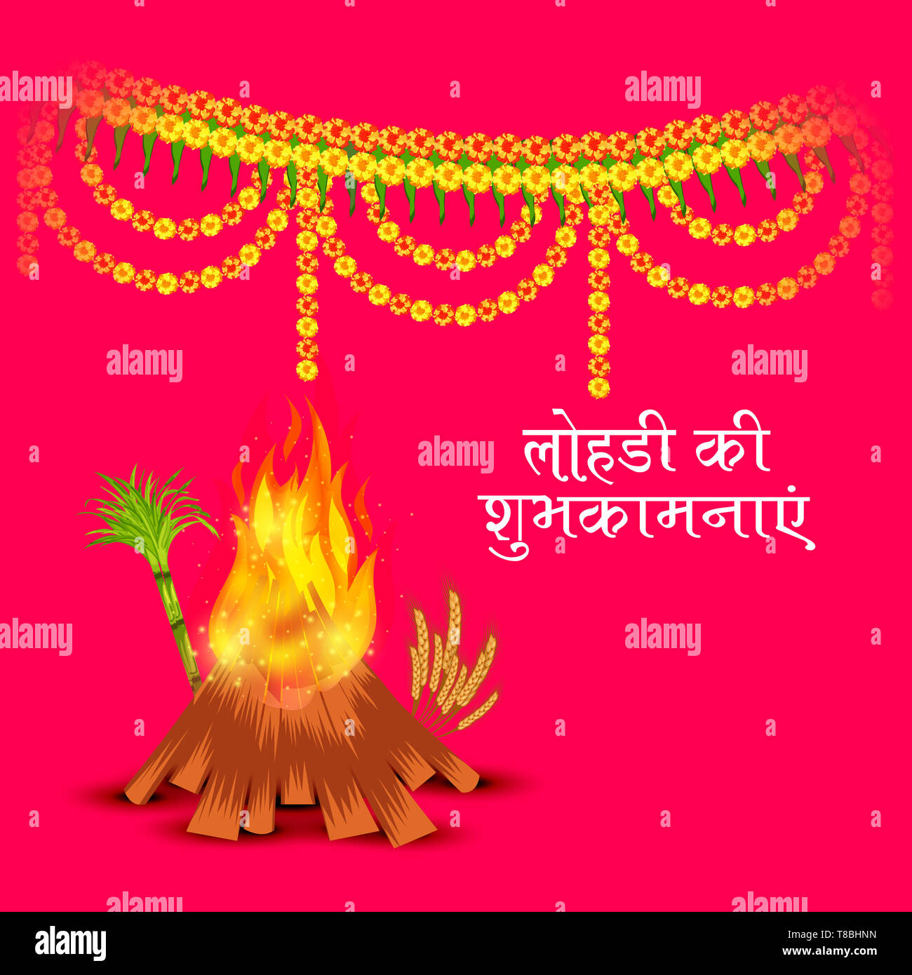 Vector illustration of a Background for Happy Lohri Holiday Template for  Punjabi Festival Stock Photo - Alamy