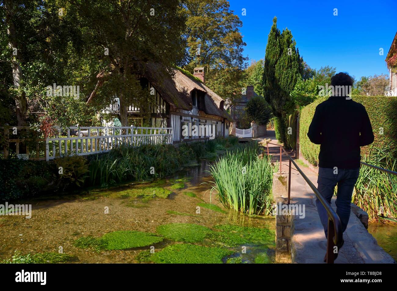 France, Seine-Maritime, Cote d'Albatre (Alabaster Coast), Pays de Caux, Veules les Roses, labelized the Most Beautiful Villages of France, thatched house along the river la Veules famous for the short length of its course (1,100 m) Stock Photo