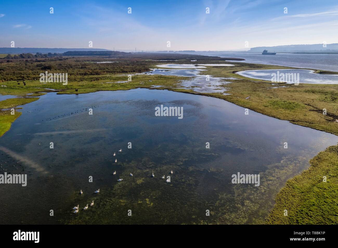 Estuary Of The River Seine High Resolution Stock Photography and Images ...